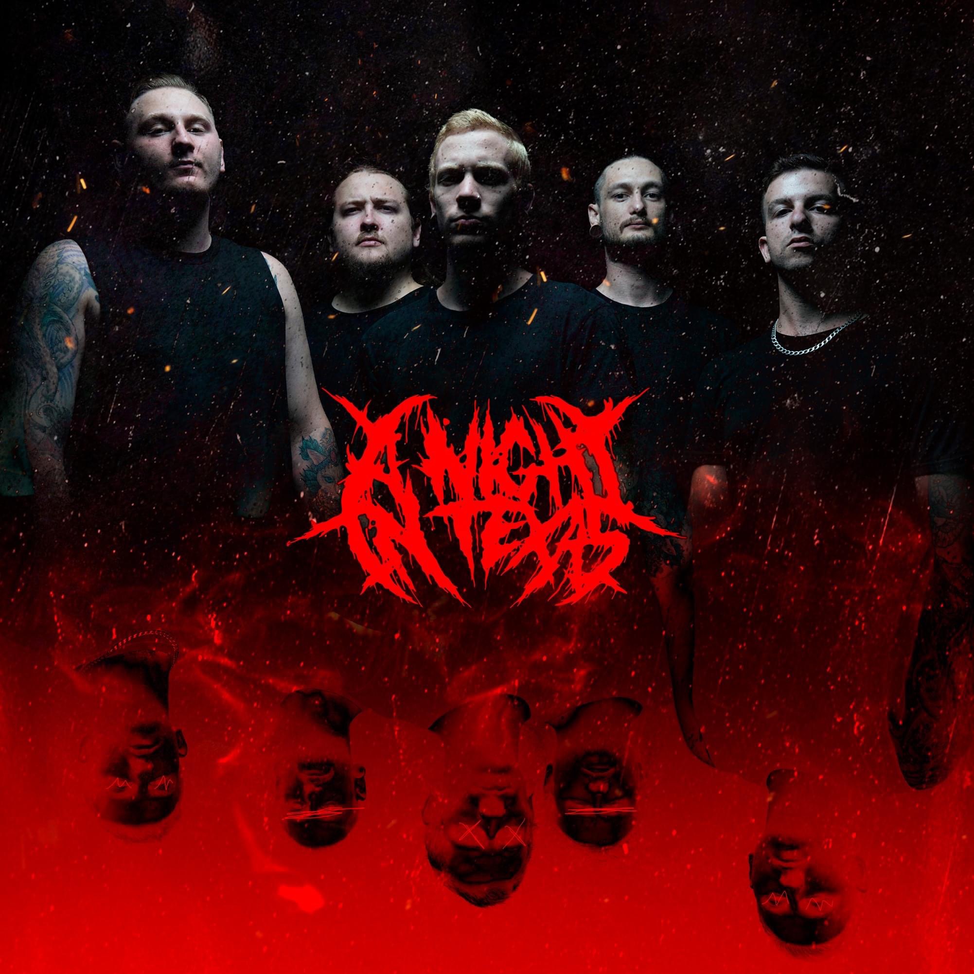 A Night In Texas portrait