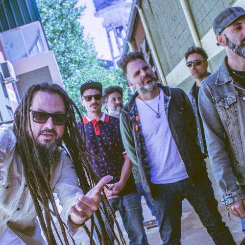 Nonpalidece Portrait