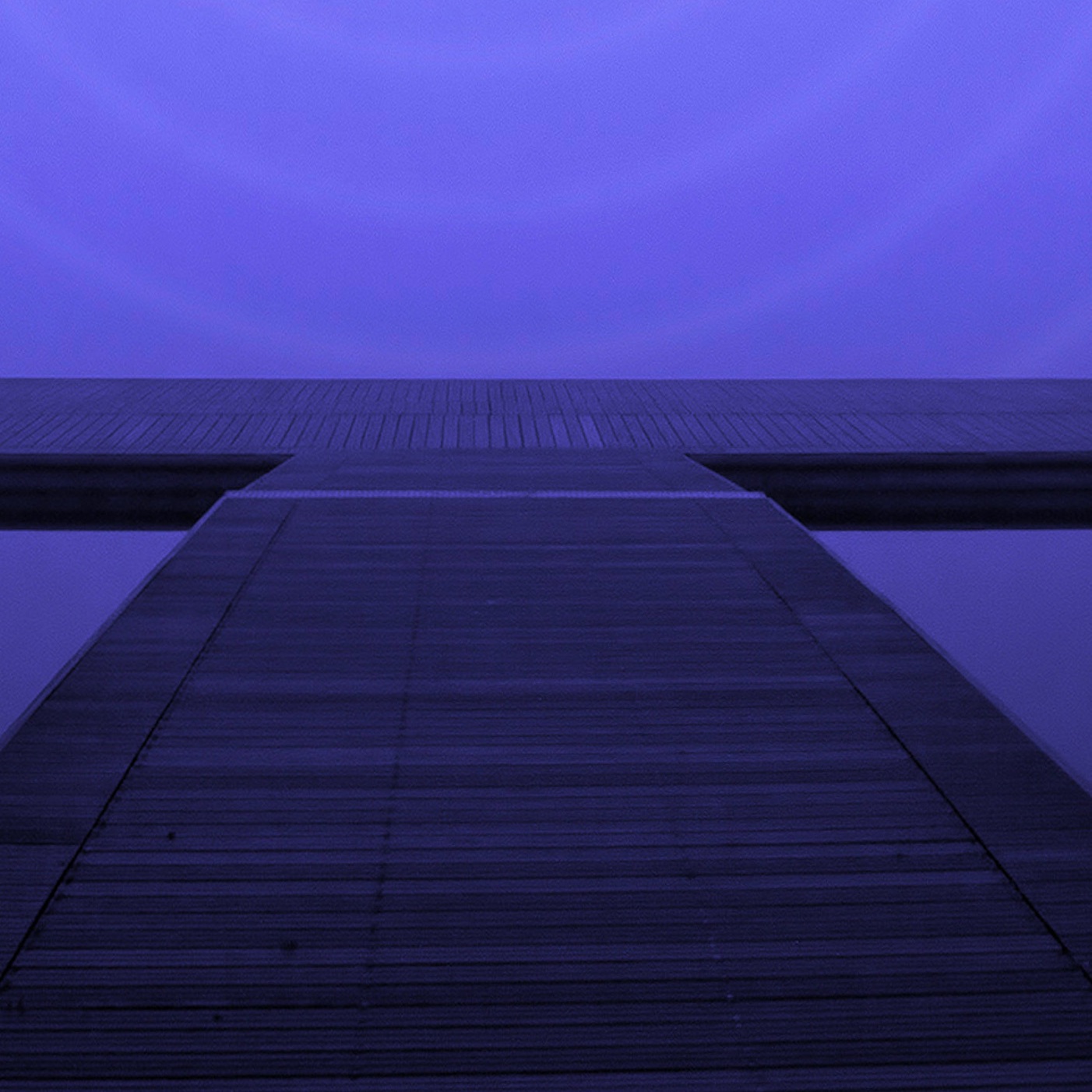 White Noise Research Portrait