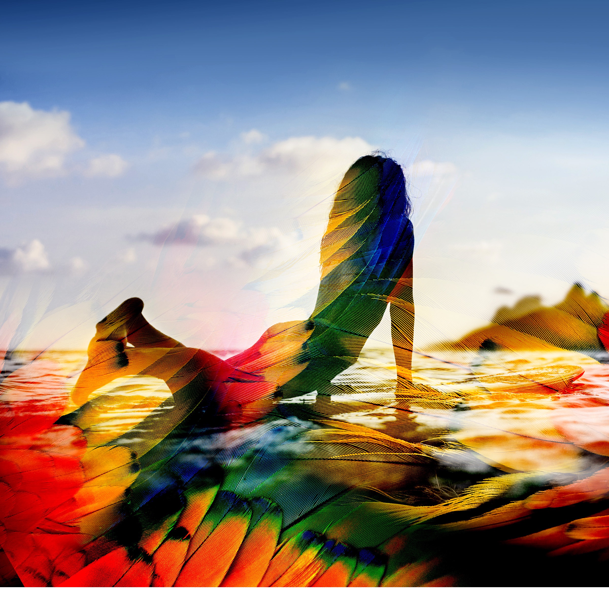 Groove da Praia Portrait