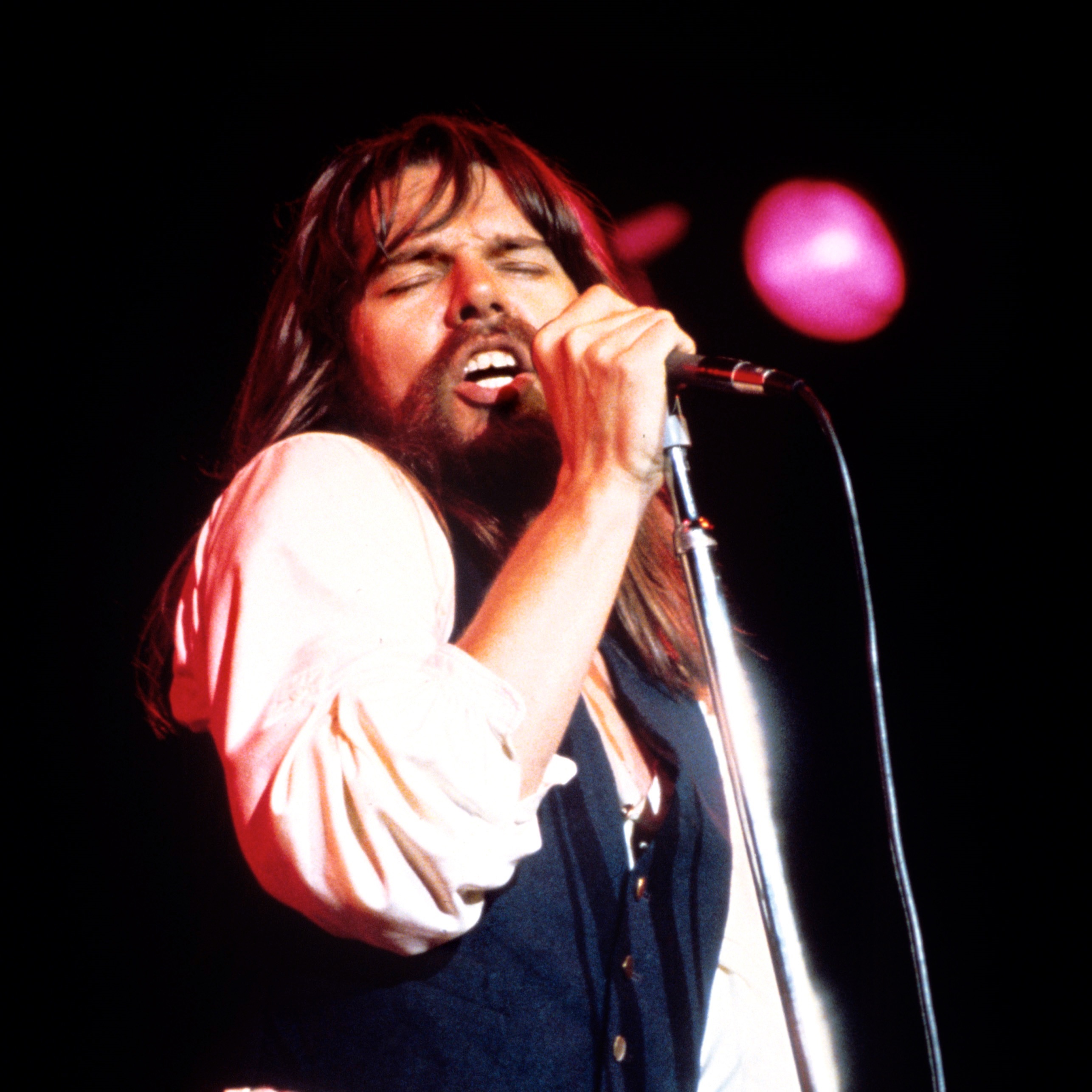 Bob Seger & The Silver Bullet Band Portrait