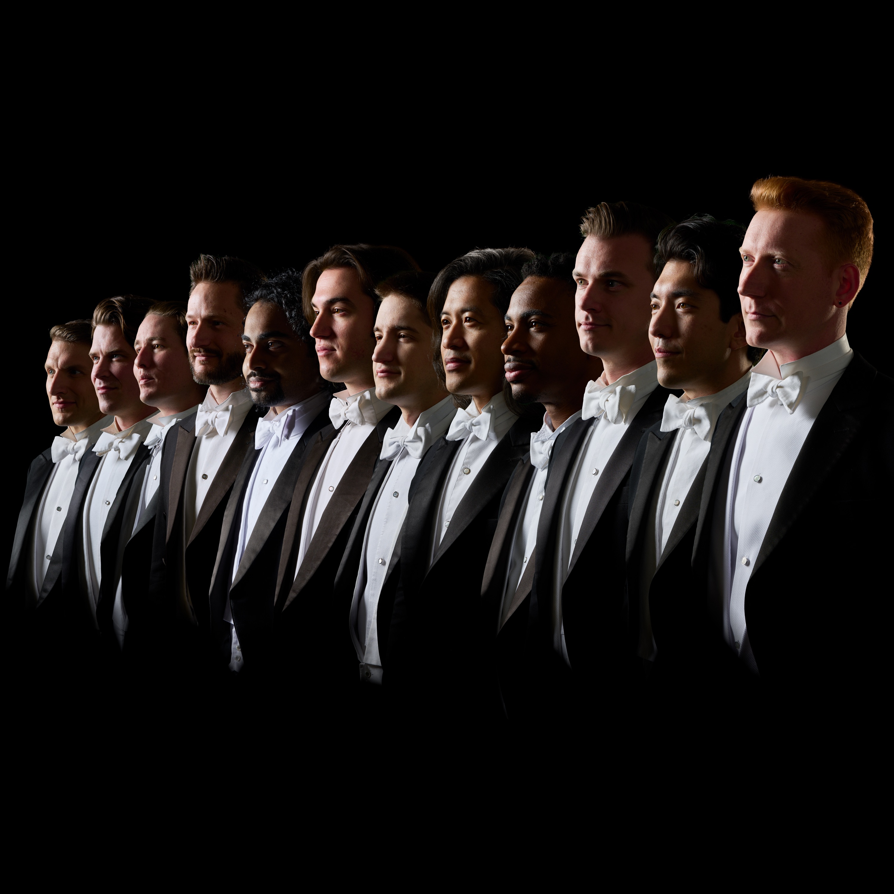 Chanticleer Portrait