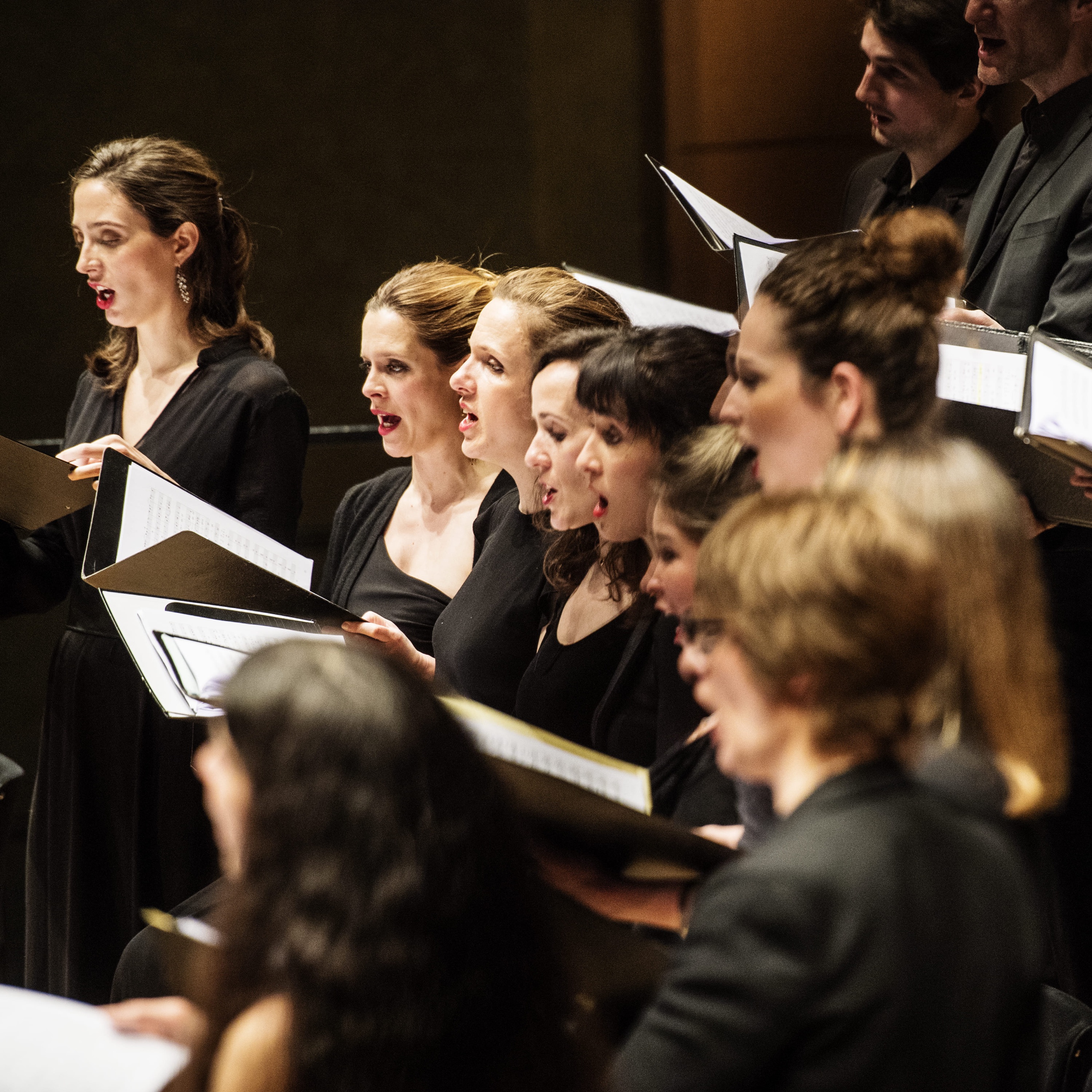 Les Arts Florissants Portrait