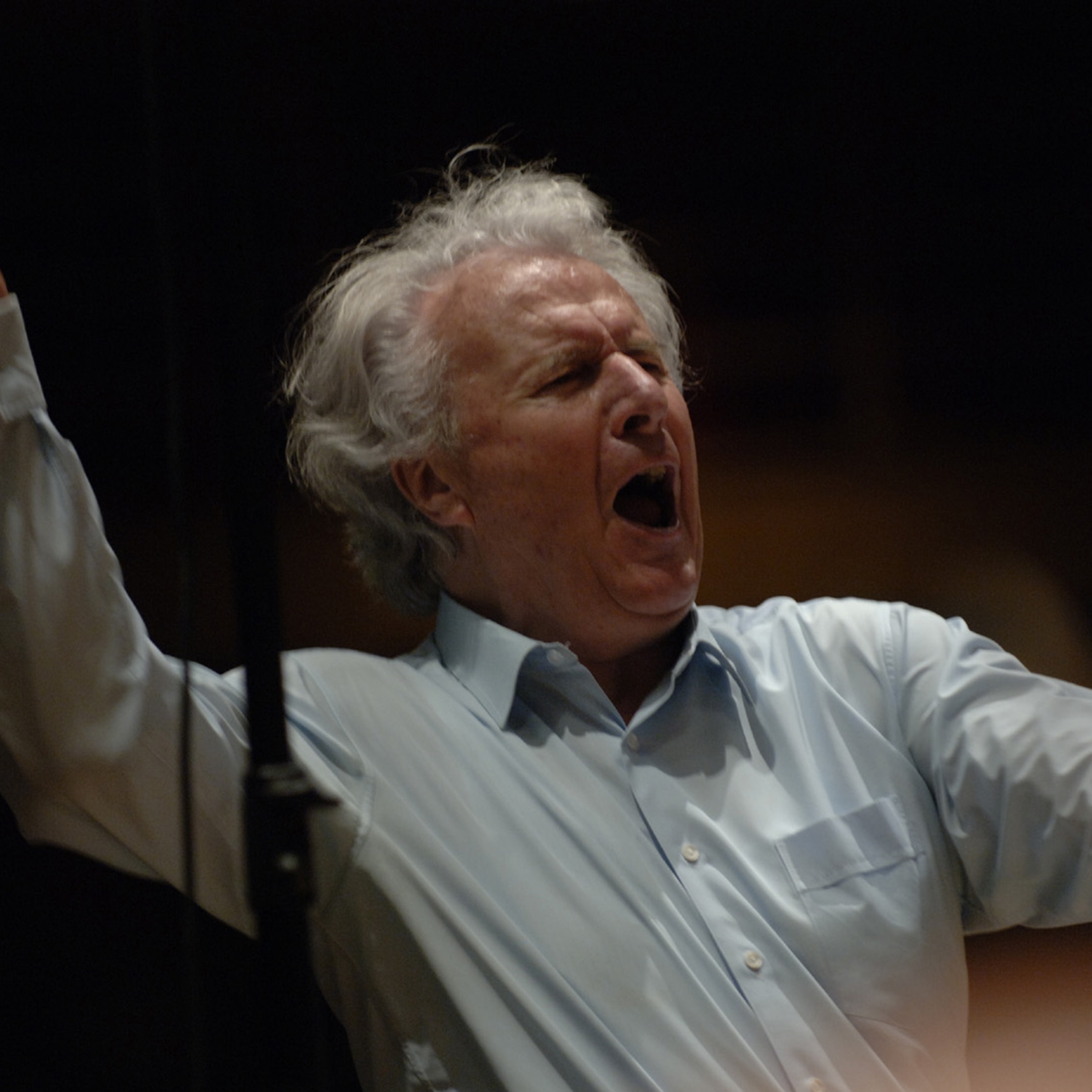 Sir Colin Davis portrait