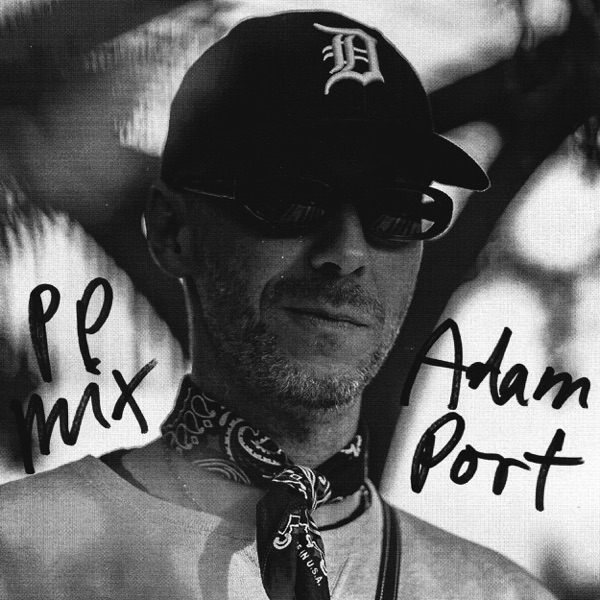 Public Possession 001: Adam Port (DJ Mix) album cover