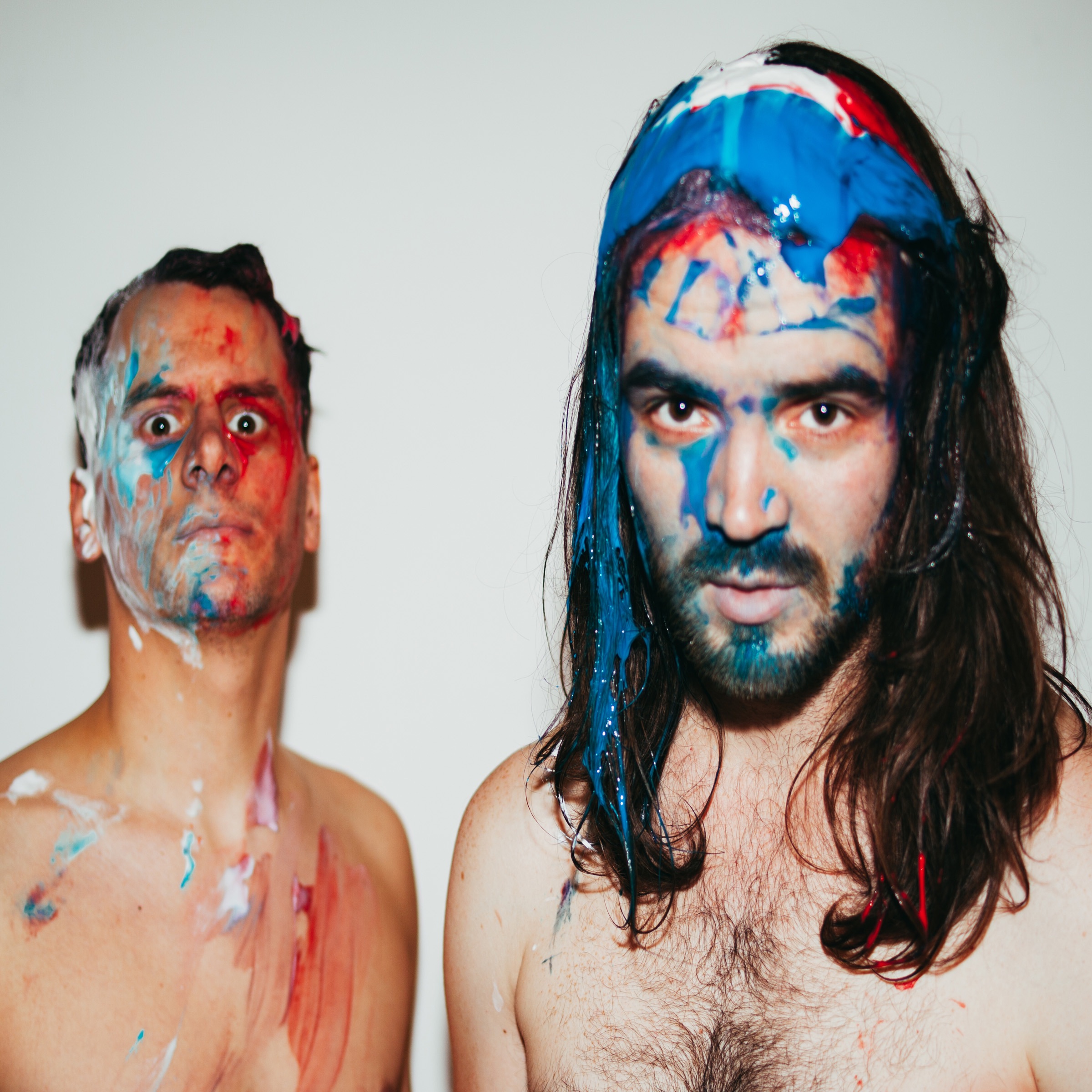 Haggard Cat Portrait