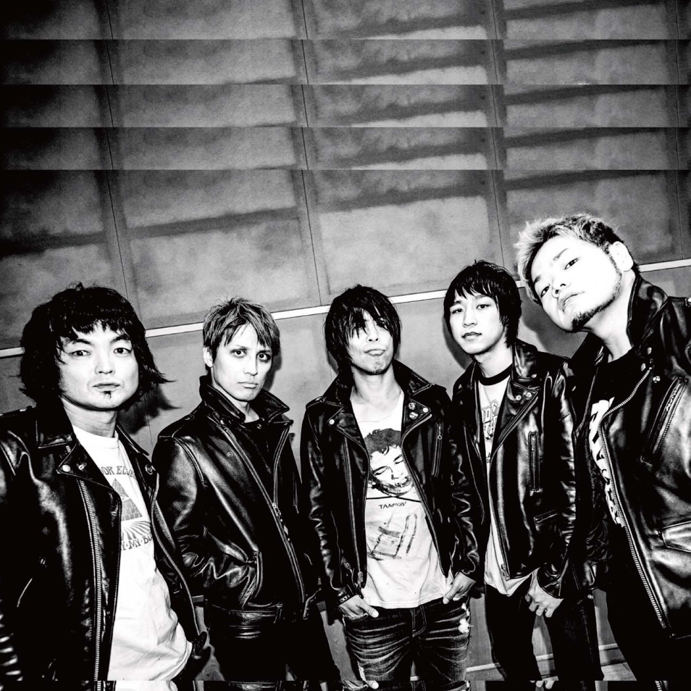 STANCE PUNKS Portrait