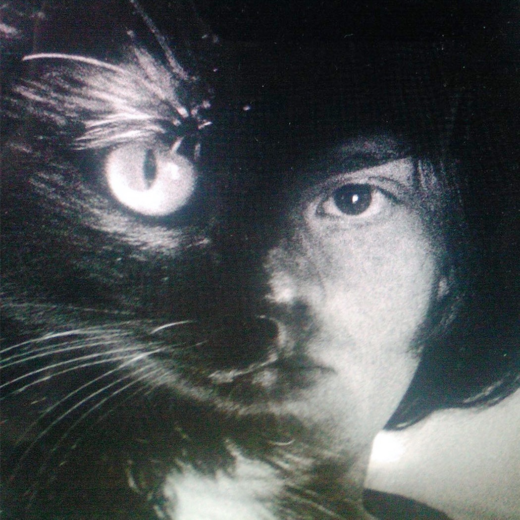 Imaginary Softwoods Portrait