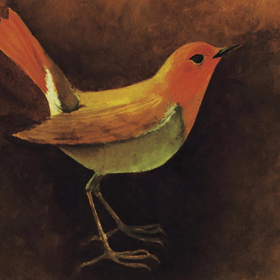 Little Tempo Portrait