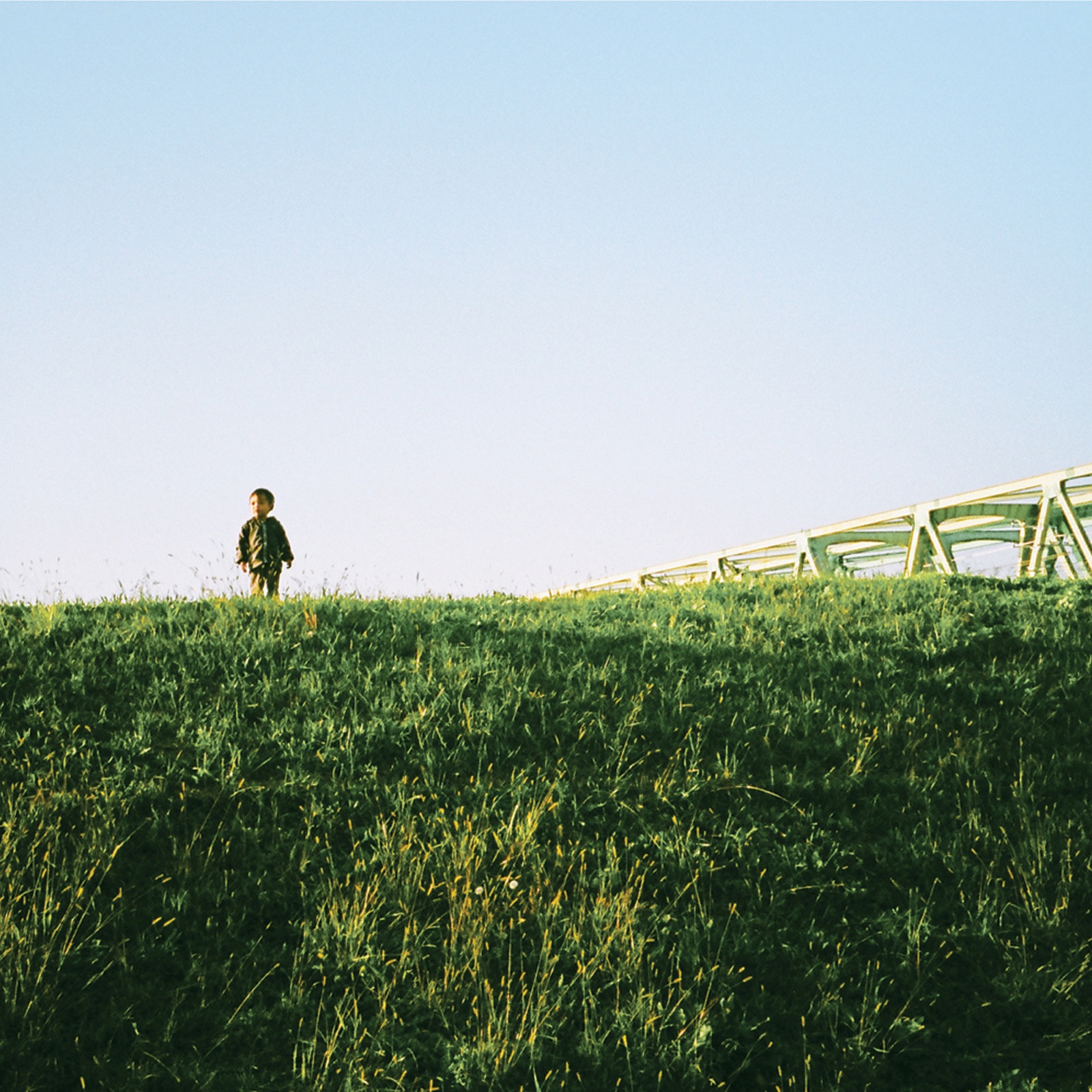 I Hold a Wish for You album cover