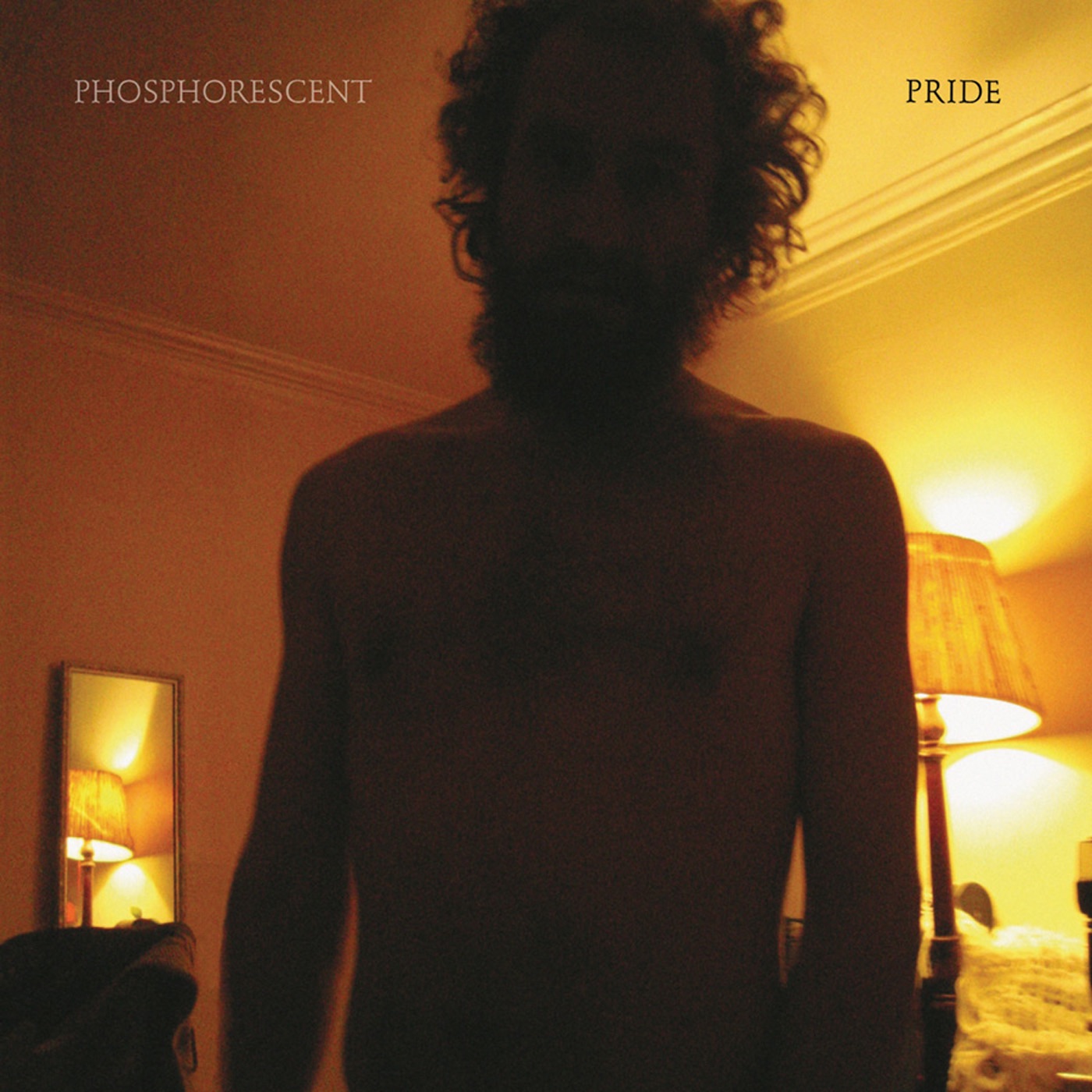Pride album cover