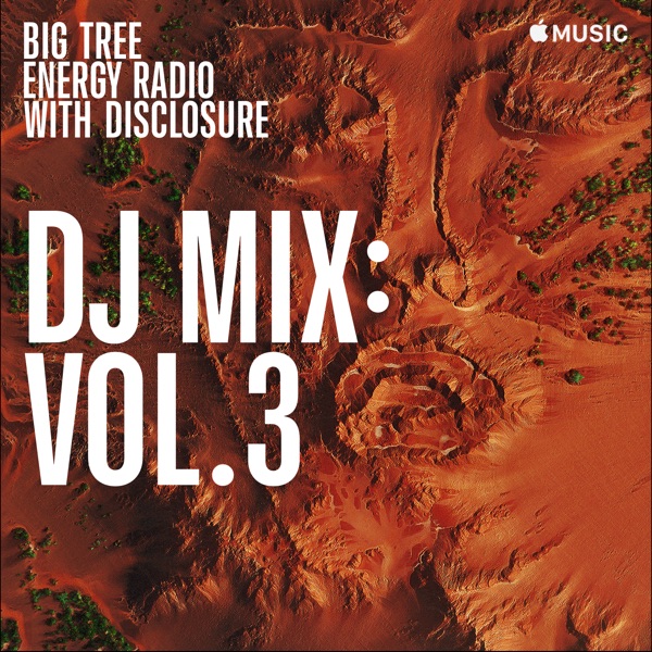 Big Tree Energy Radio, Vol. 3 (DJ Mix) album cover