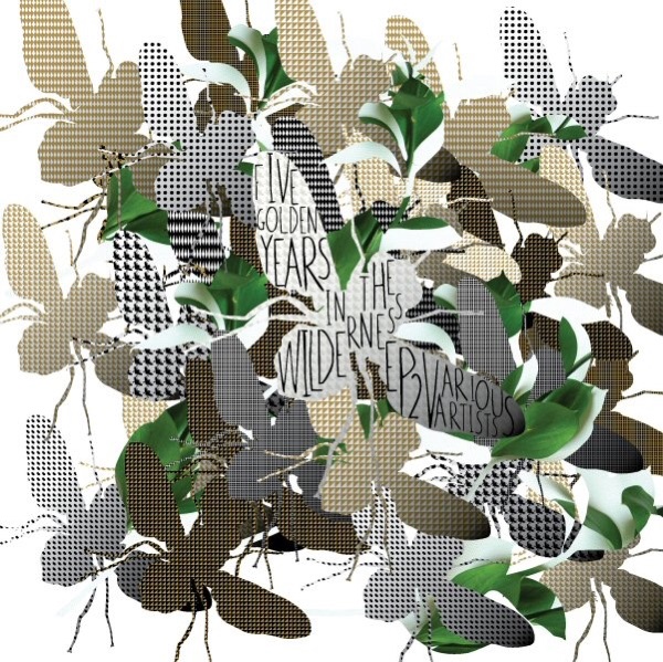 Buzzin' Fly - Five Golden Years In the Wilderness #2 album cover