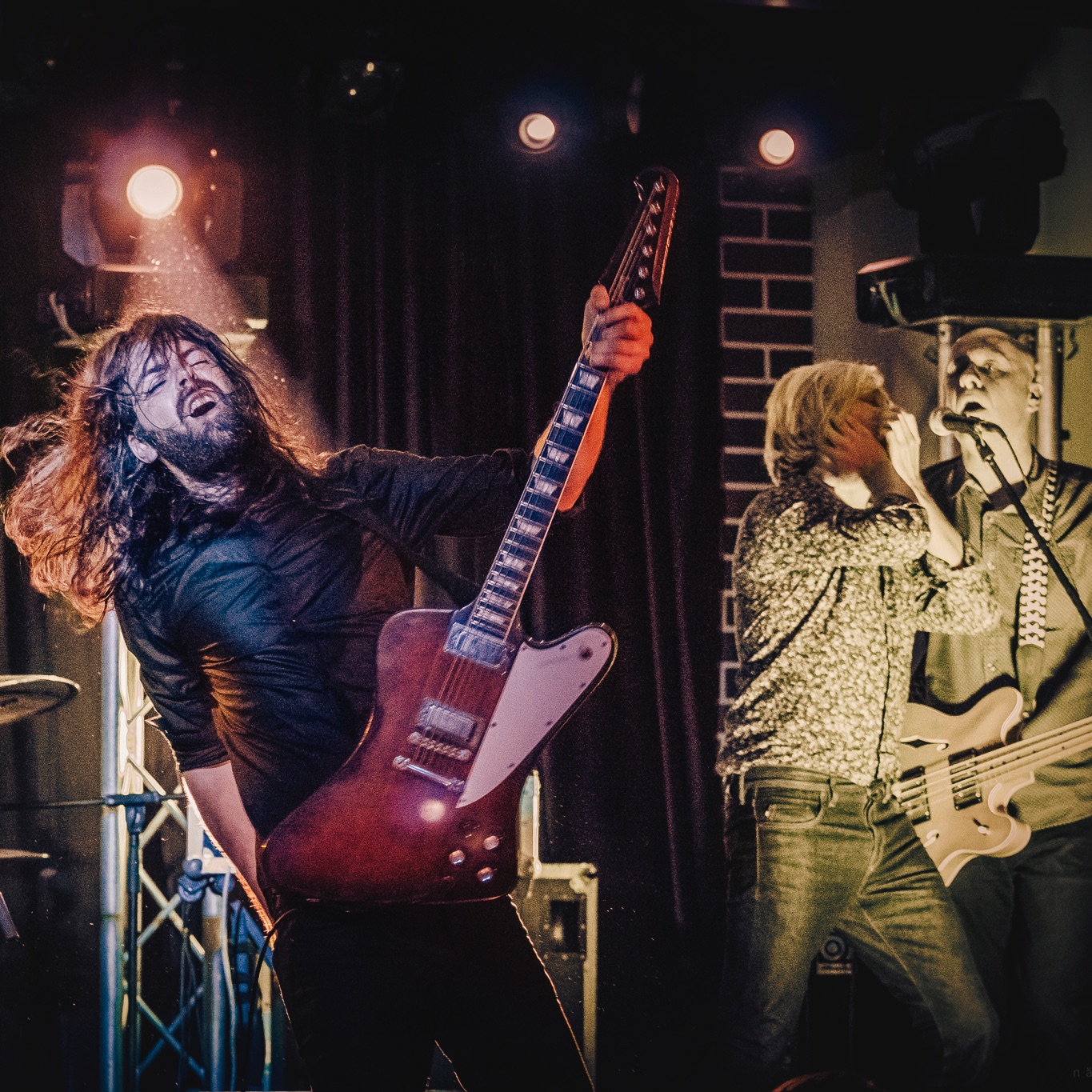 Robin and the Backstabbers Portrait