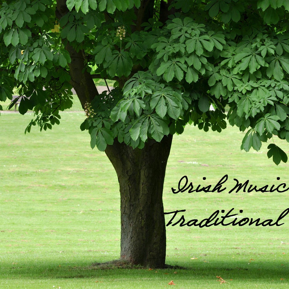 Irish Music: Irish Songs, Traditional Irish Folk Music Relaxation, Celtic Music Relax album cover