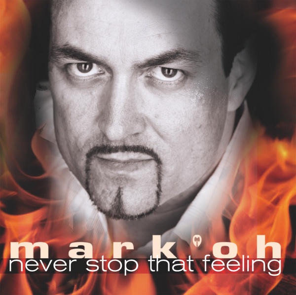 Never Stop That Feeling album cover