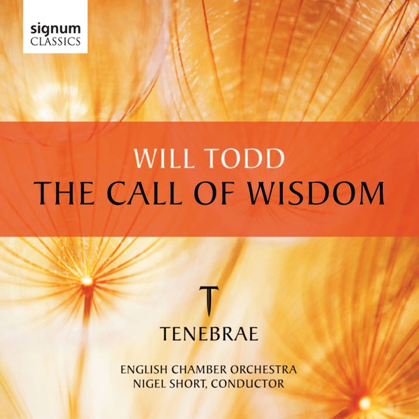 Will Todd: The Call of Wisdom album cover