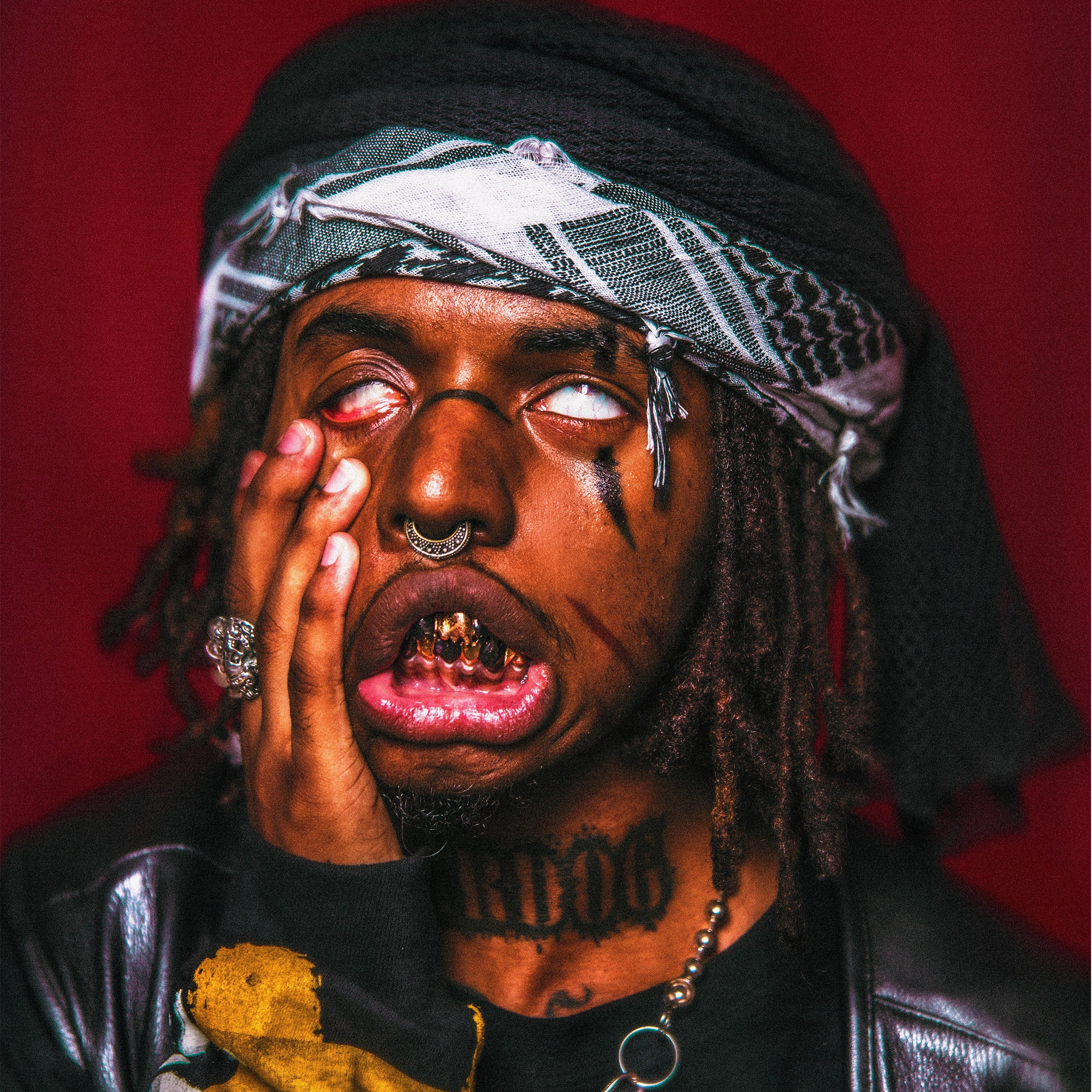 ZillaKami Portrait