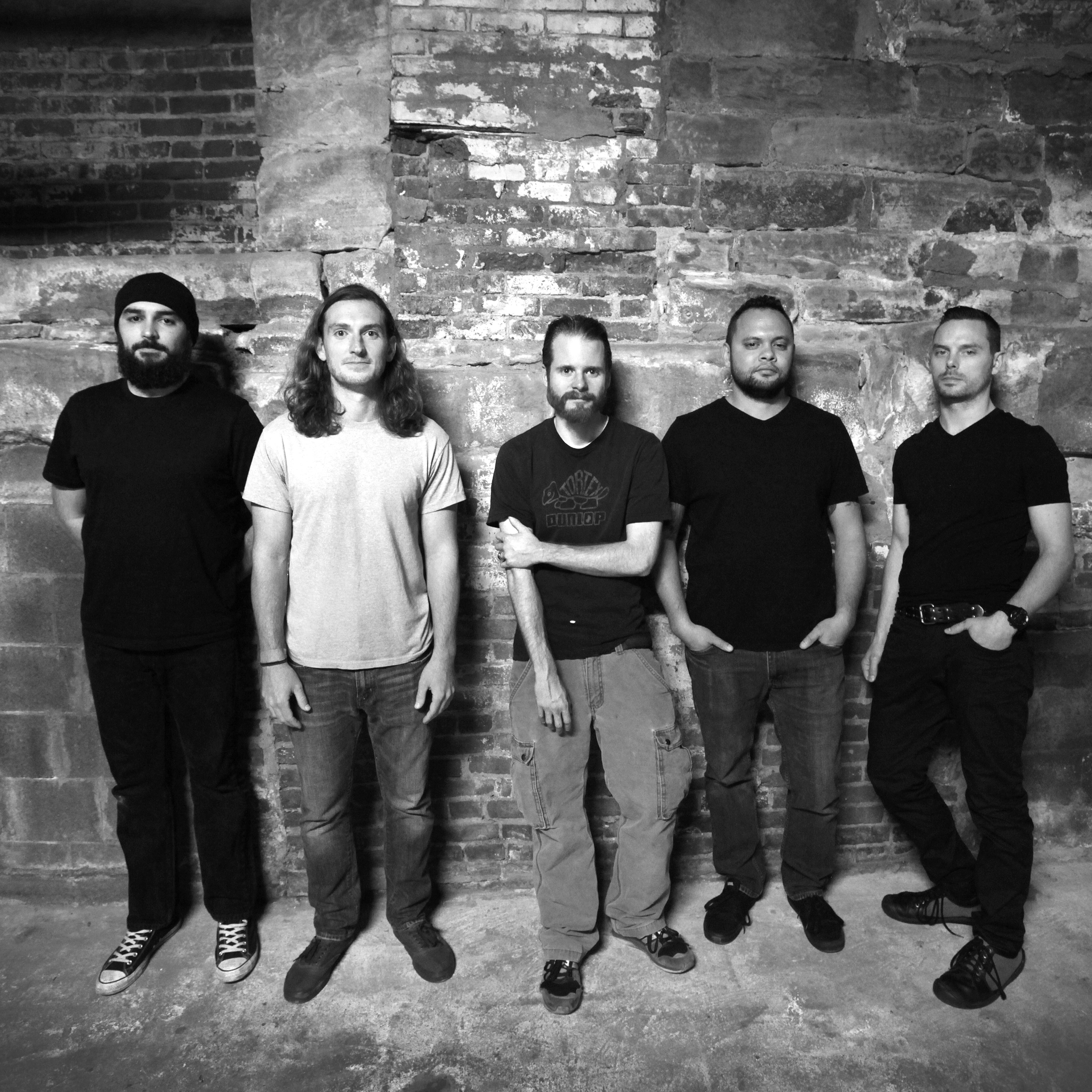 If These Trees Could Talk Portrait