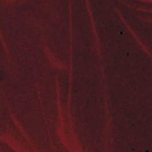 Pięć Dwa Dębiec Portrait