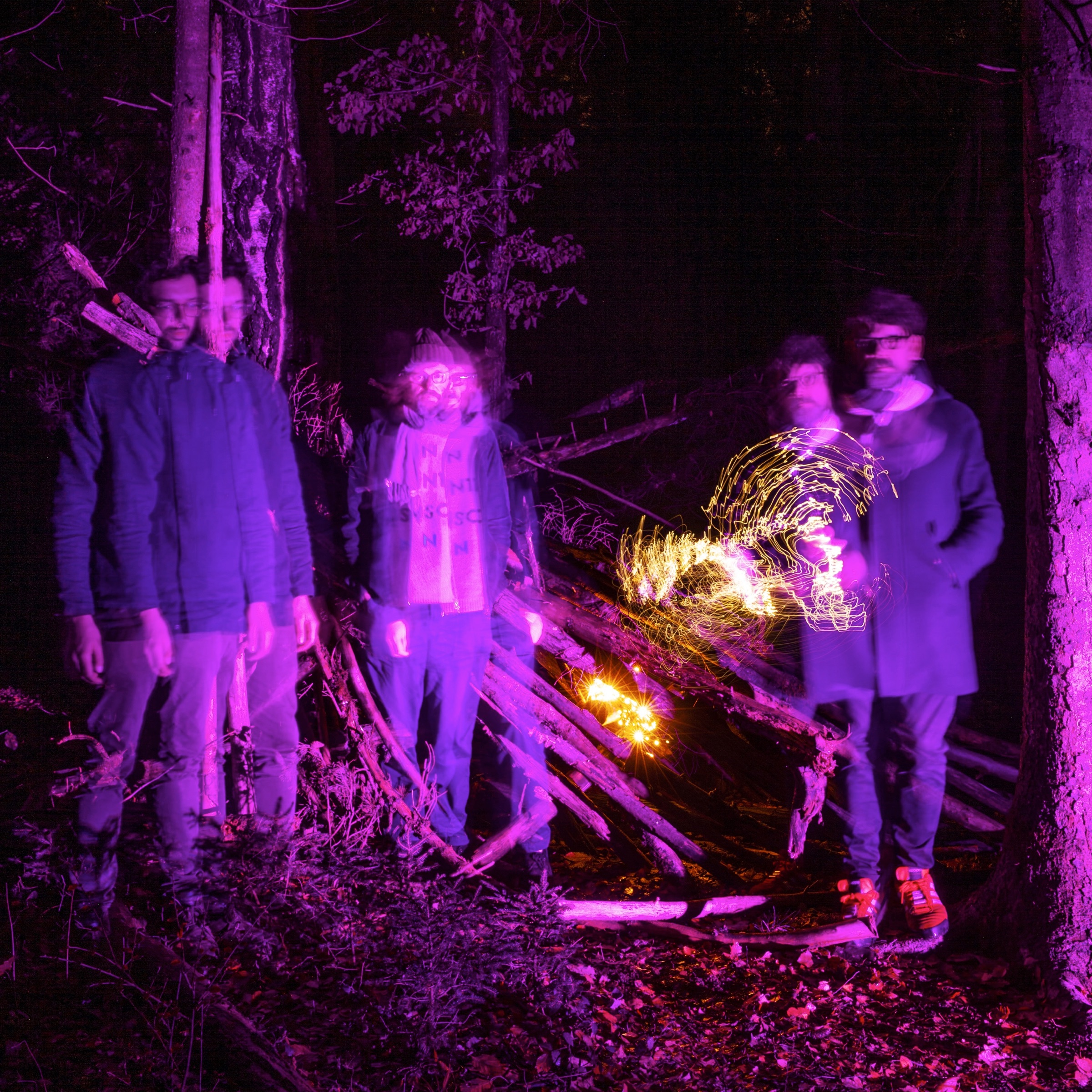 The Notwist portrait