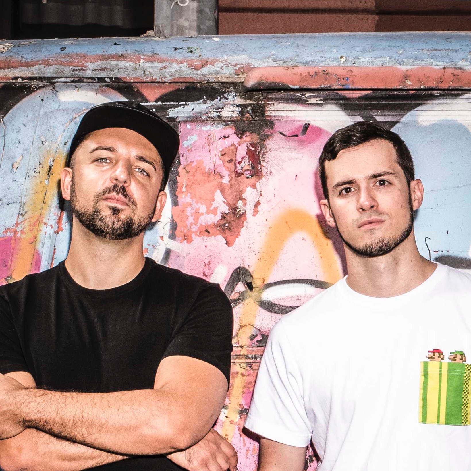 Disco Fries Portrait