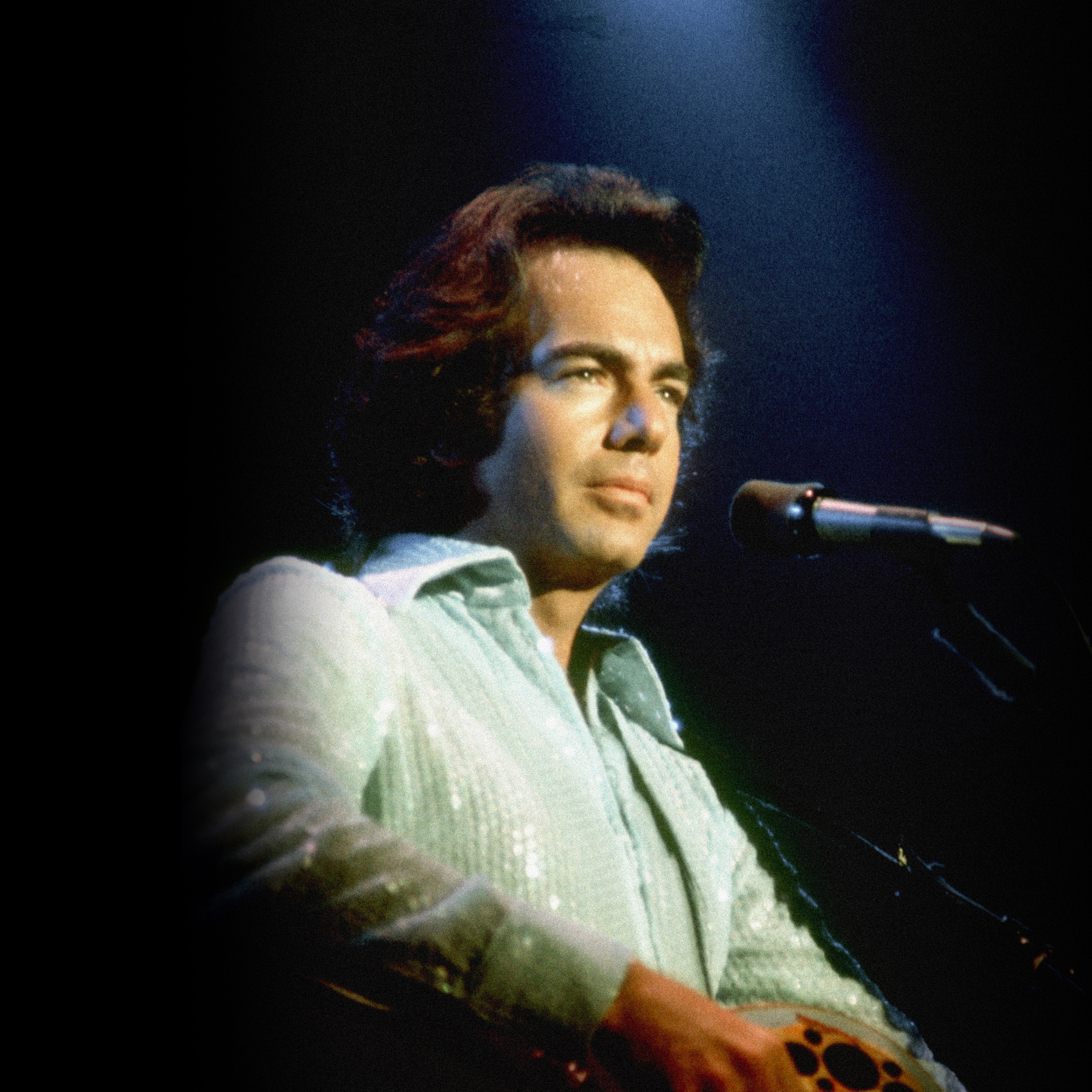 Neil Diamond Portrait