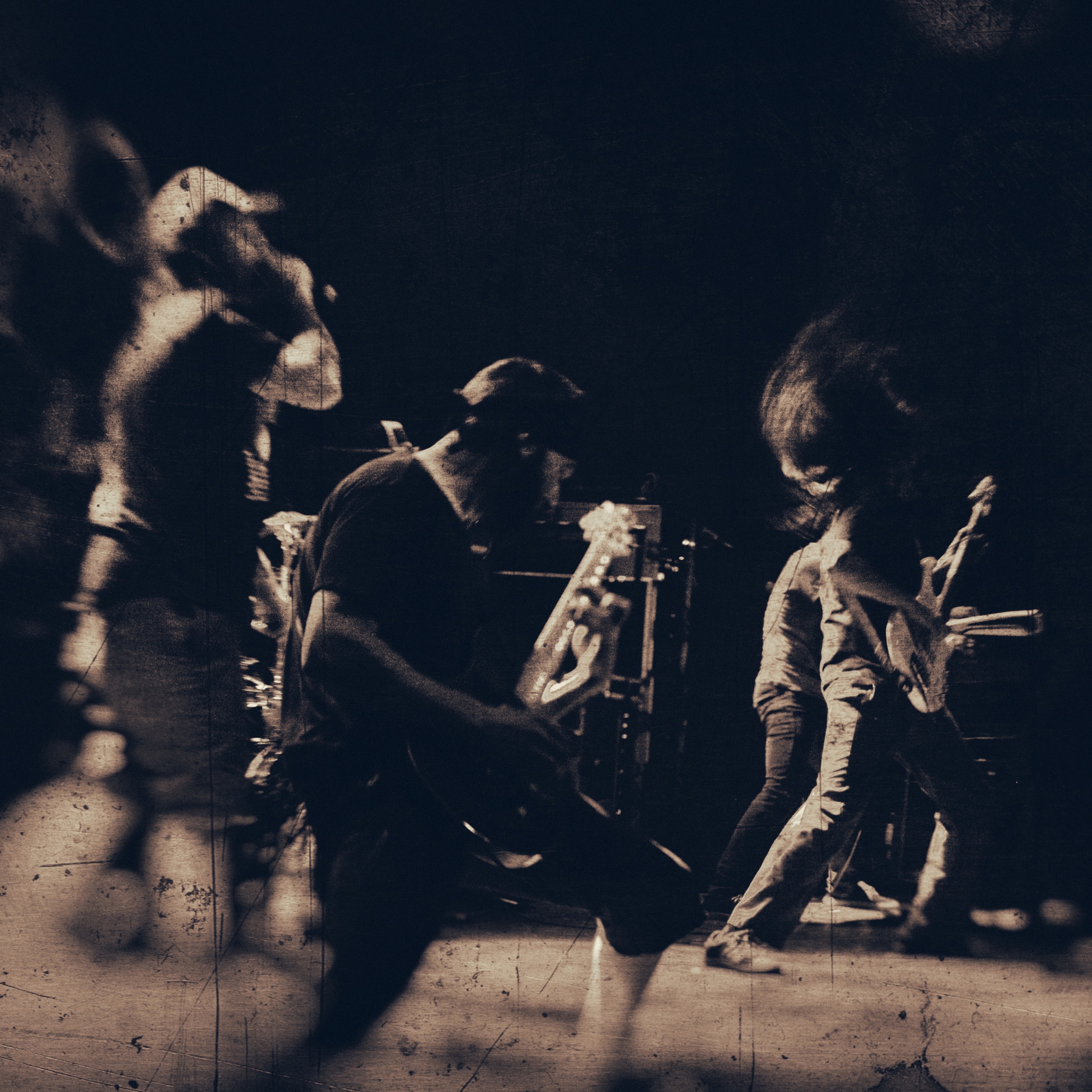 Dog Fashion Disco Portrait