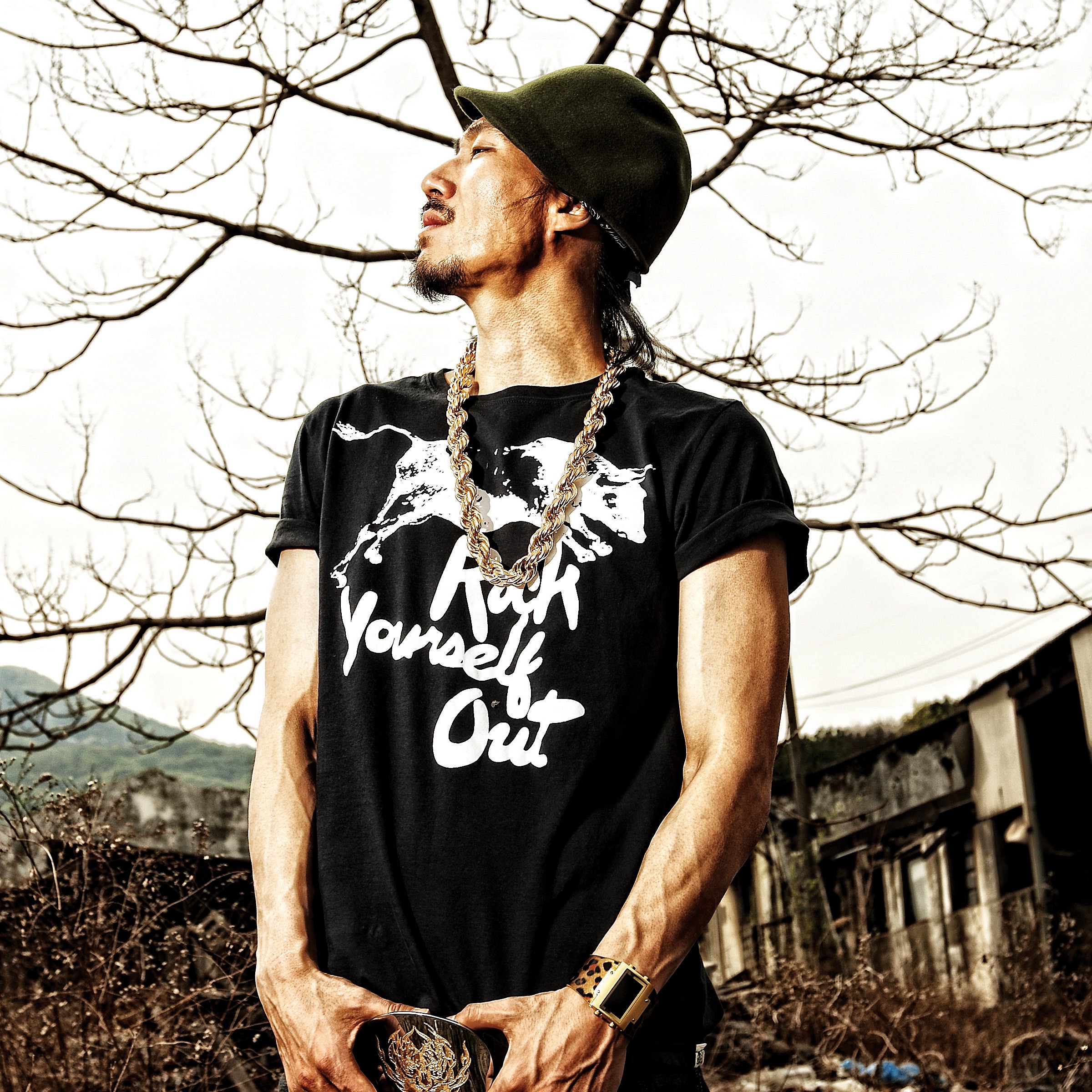 Drunken Tiger portrait