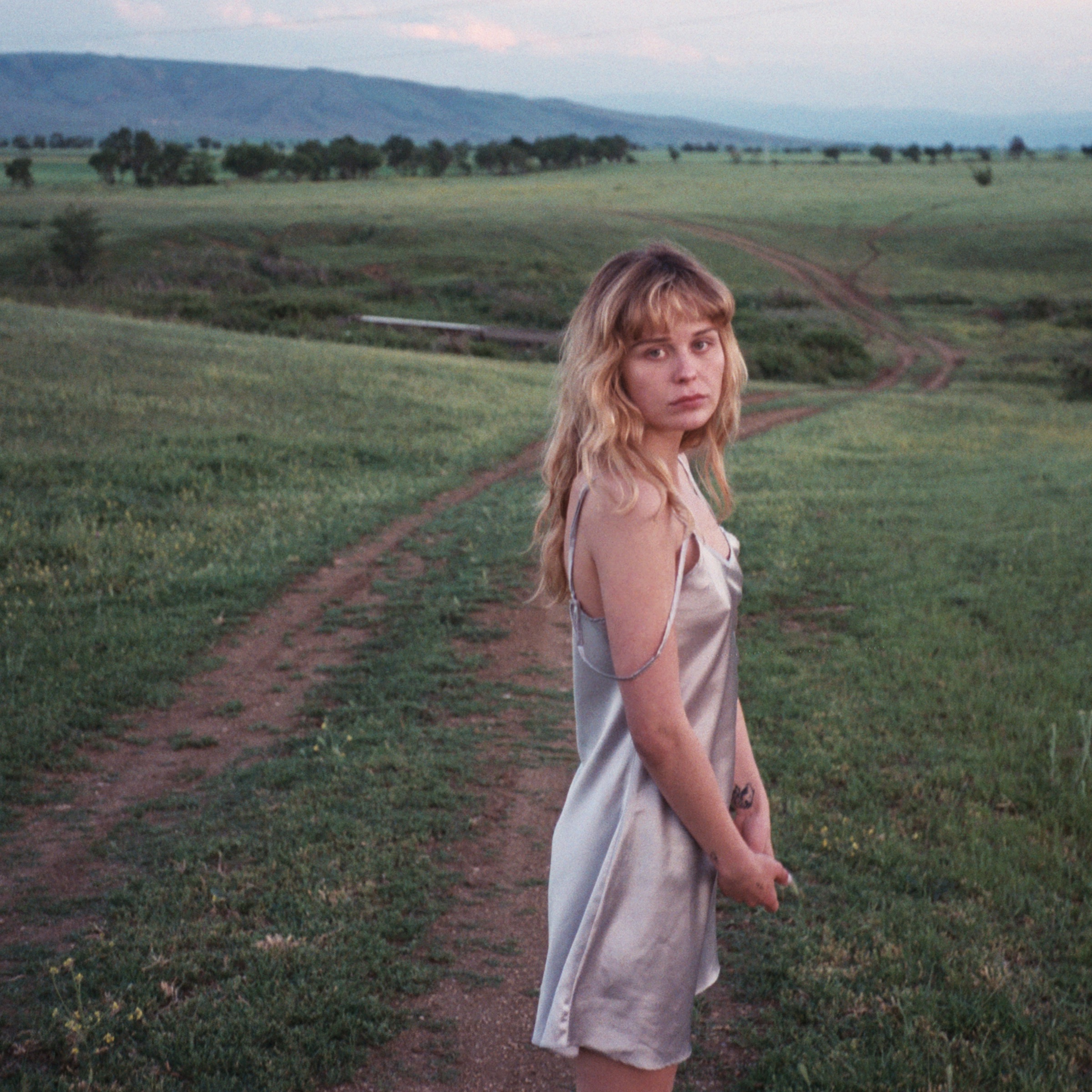 Kedr Livanskiy Portrait