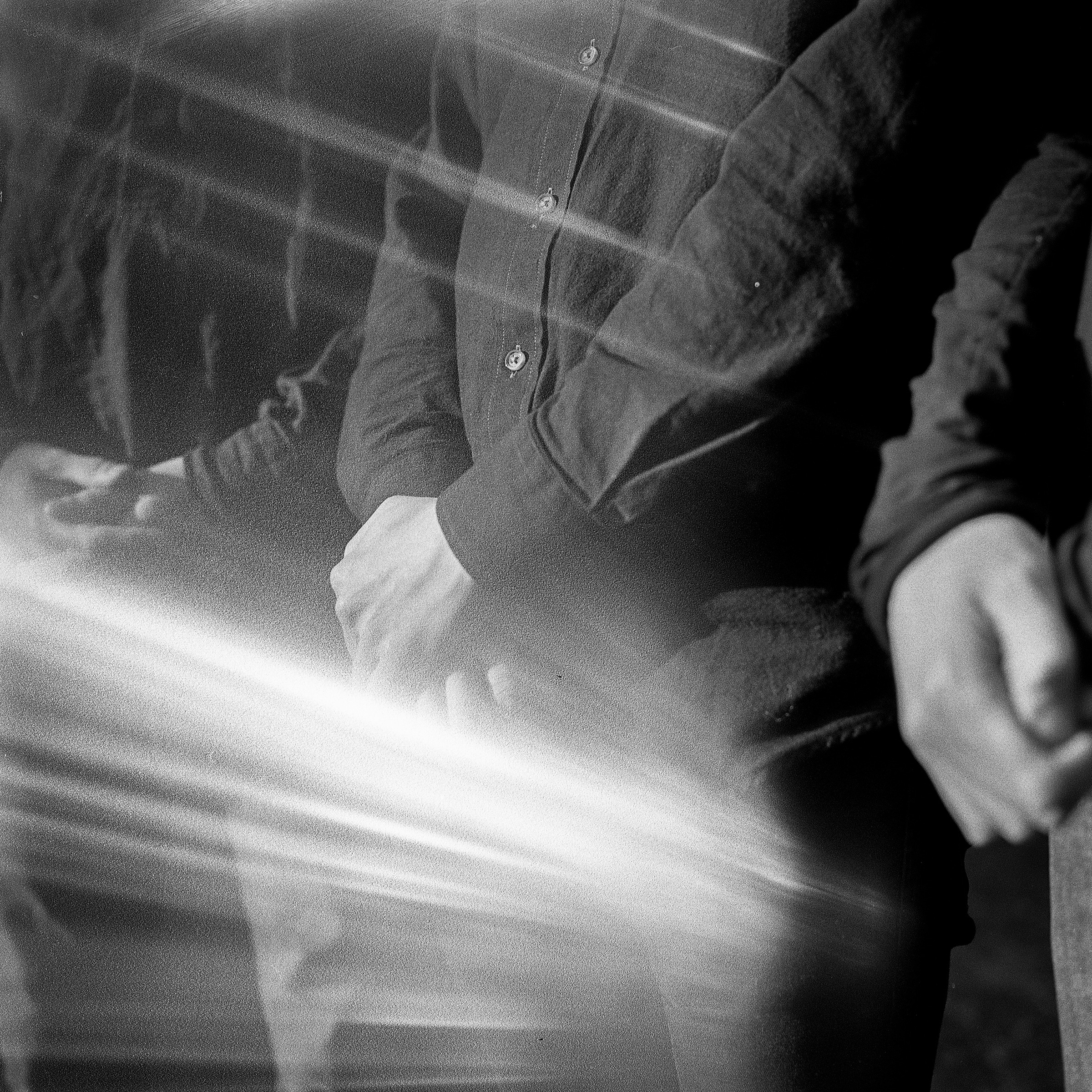 Birds In Row portrait