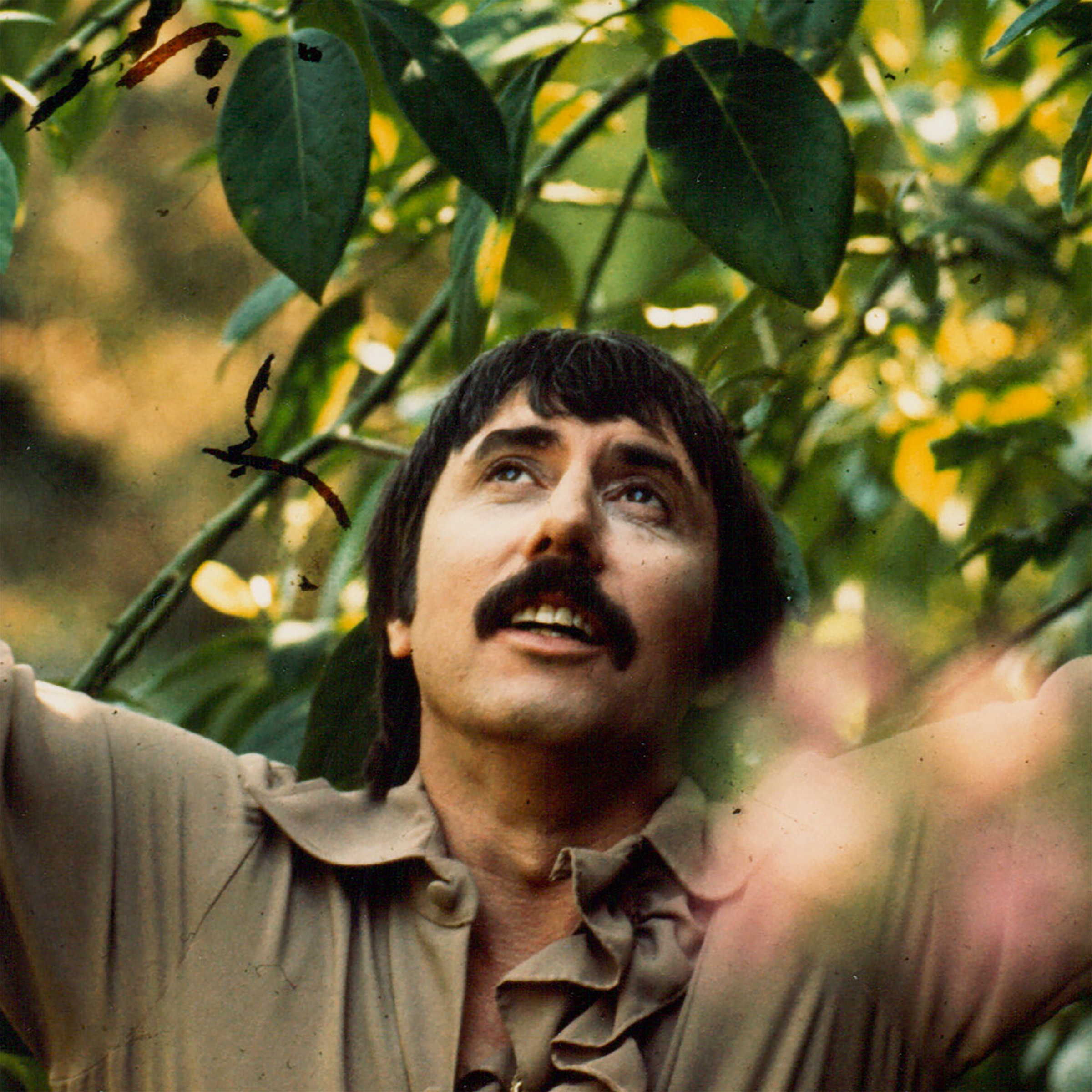Lee Hazlewood Portrait