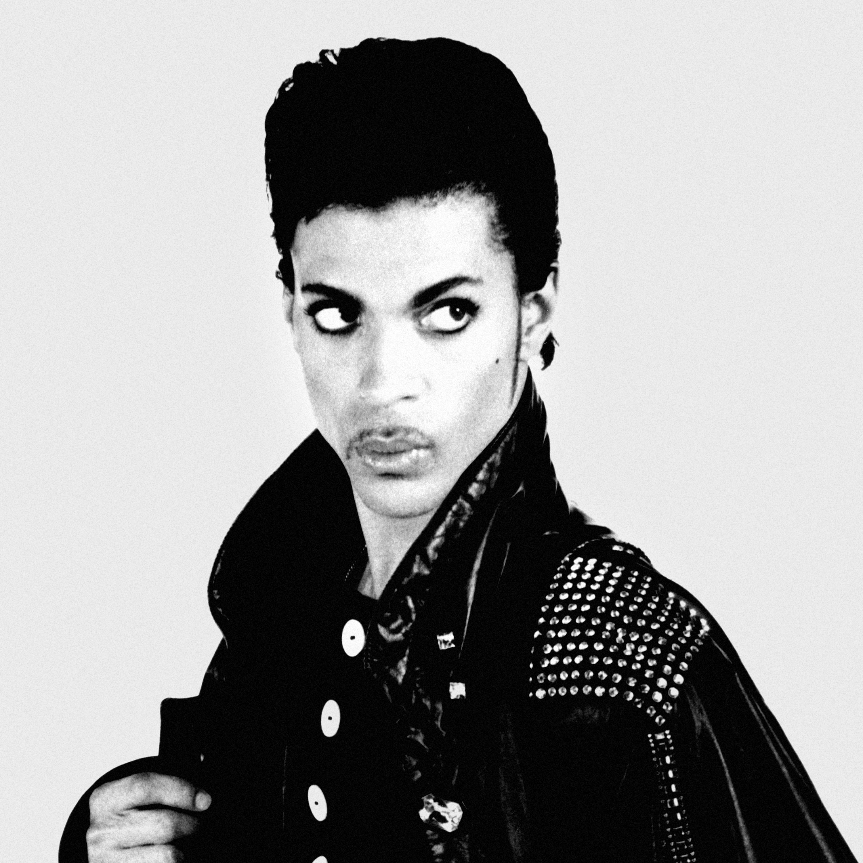 Prince Portrait