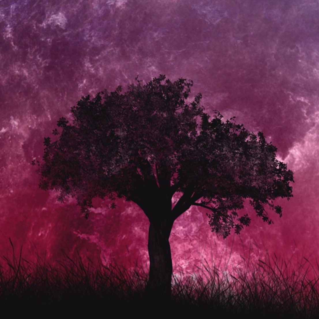 Binaural Beats portrait