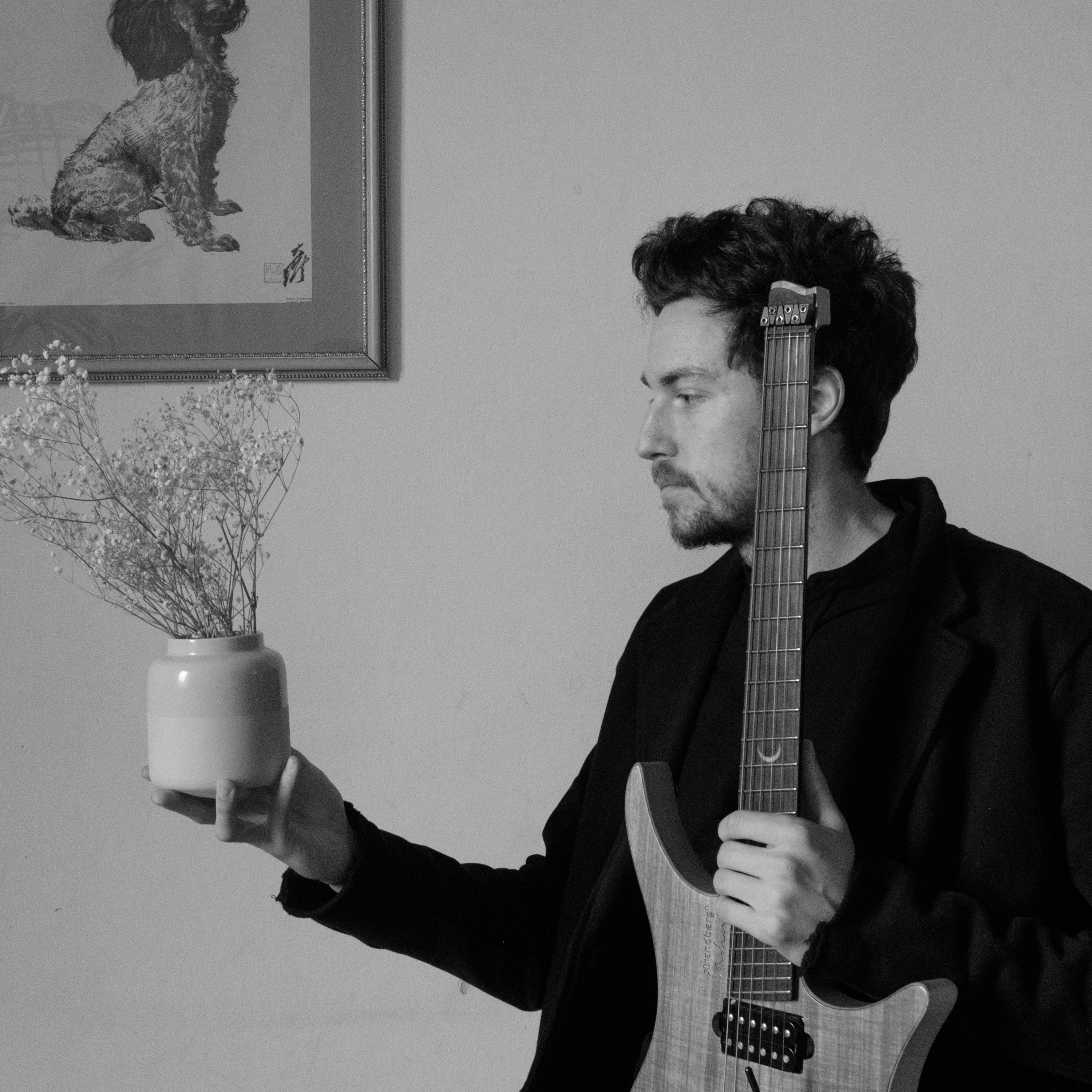 Plini portrait