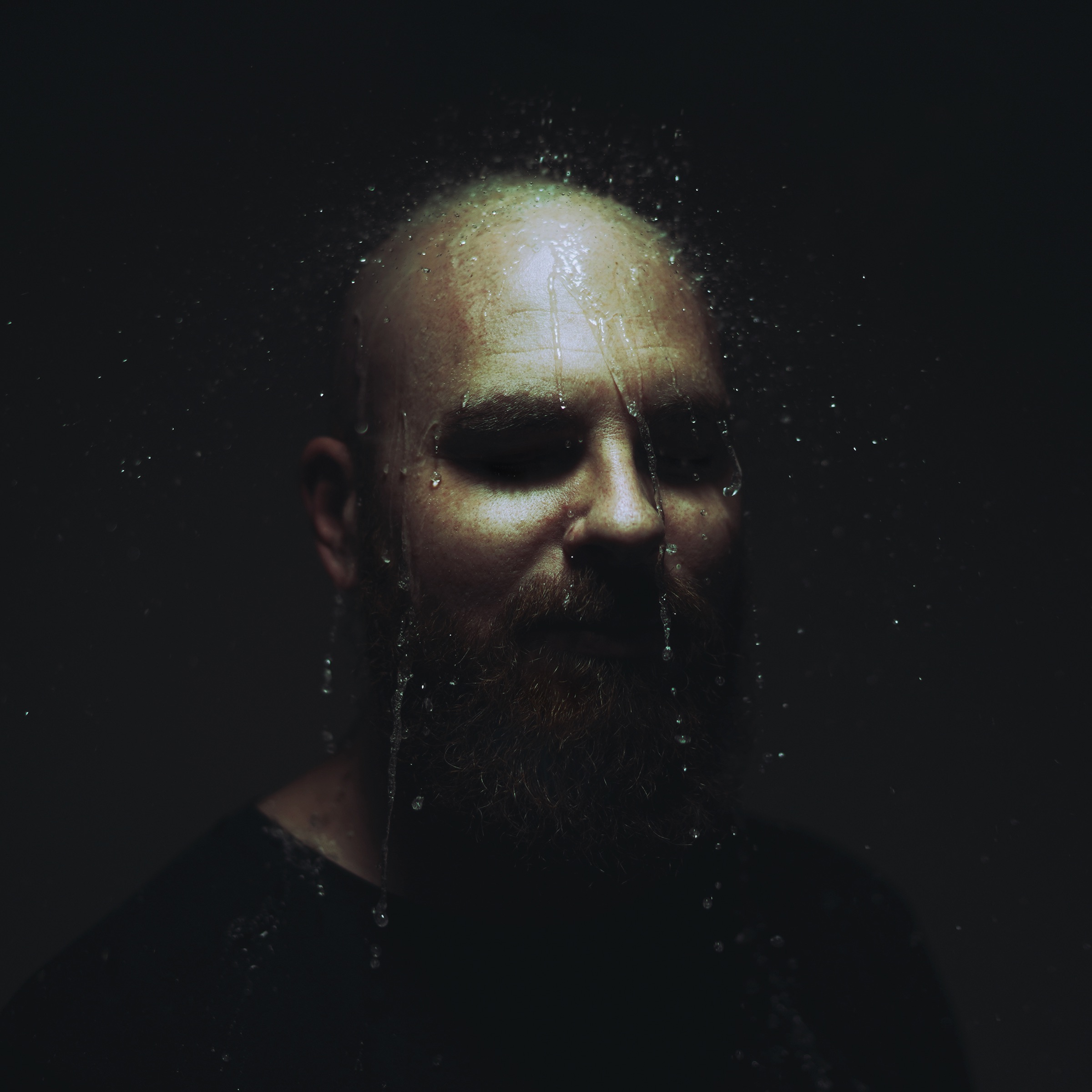 Those Who Ride With Giants Portrait