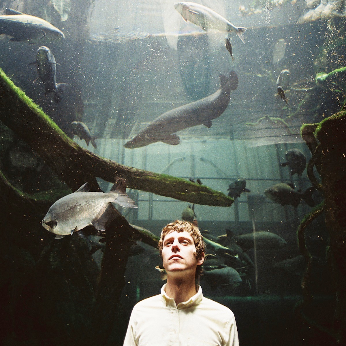 White Fence Portrait