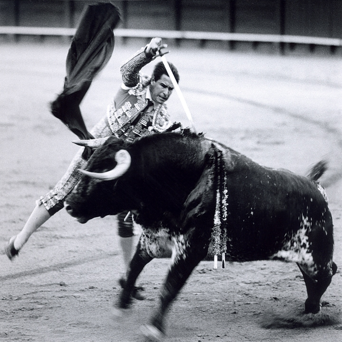 Life Is Elsewhere (Special Edition) album cover