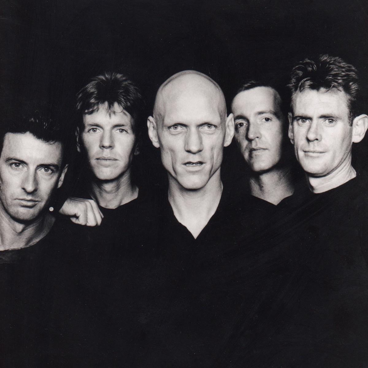 Midnight Oil Portrait