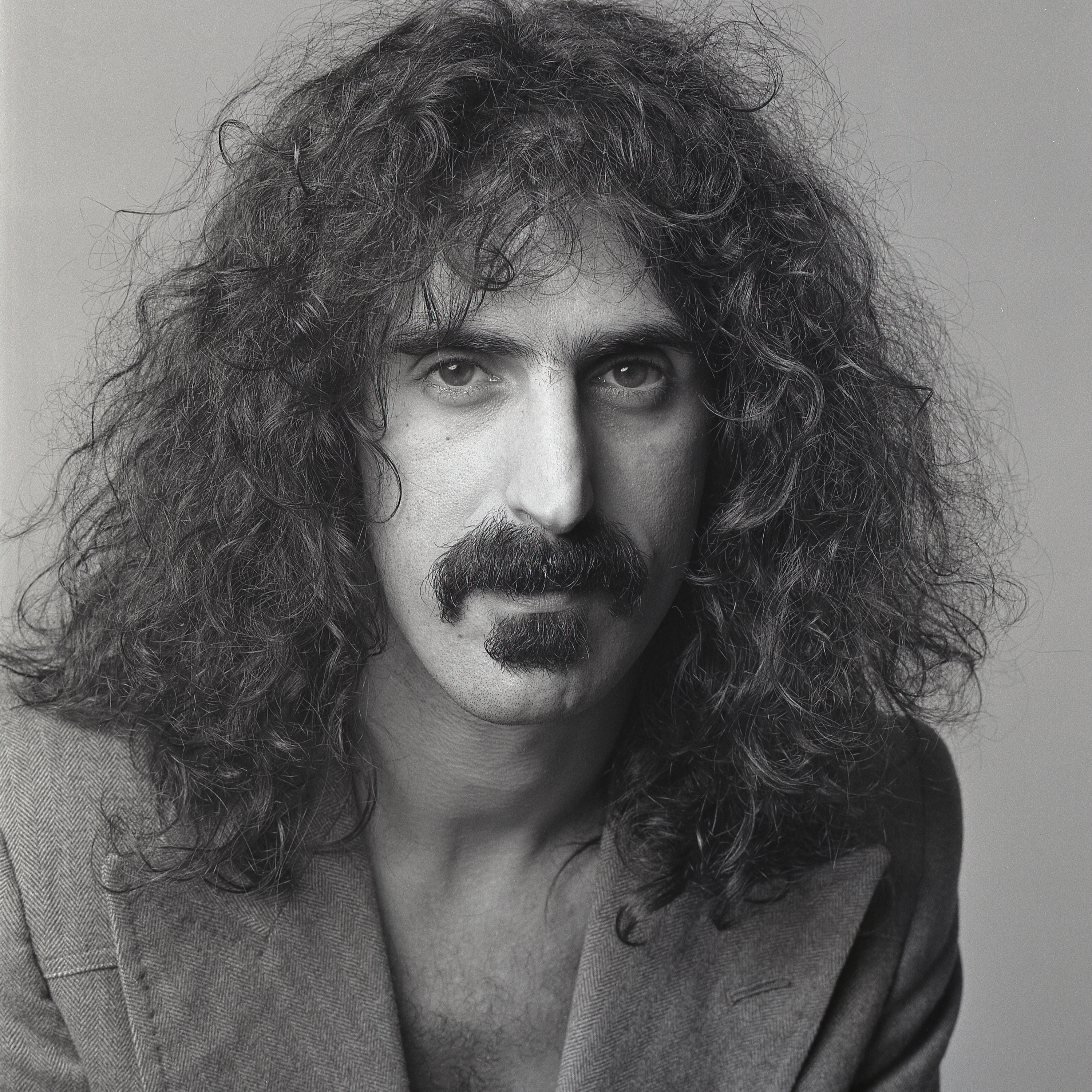 Frank Zappa Portrait