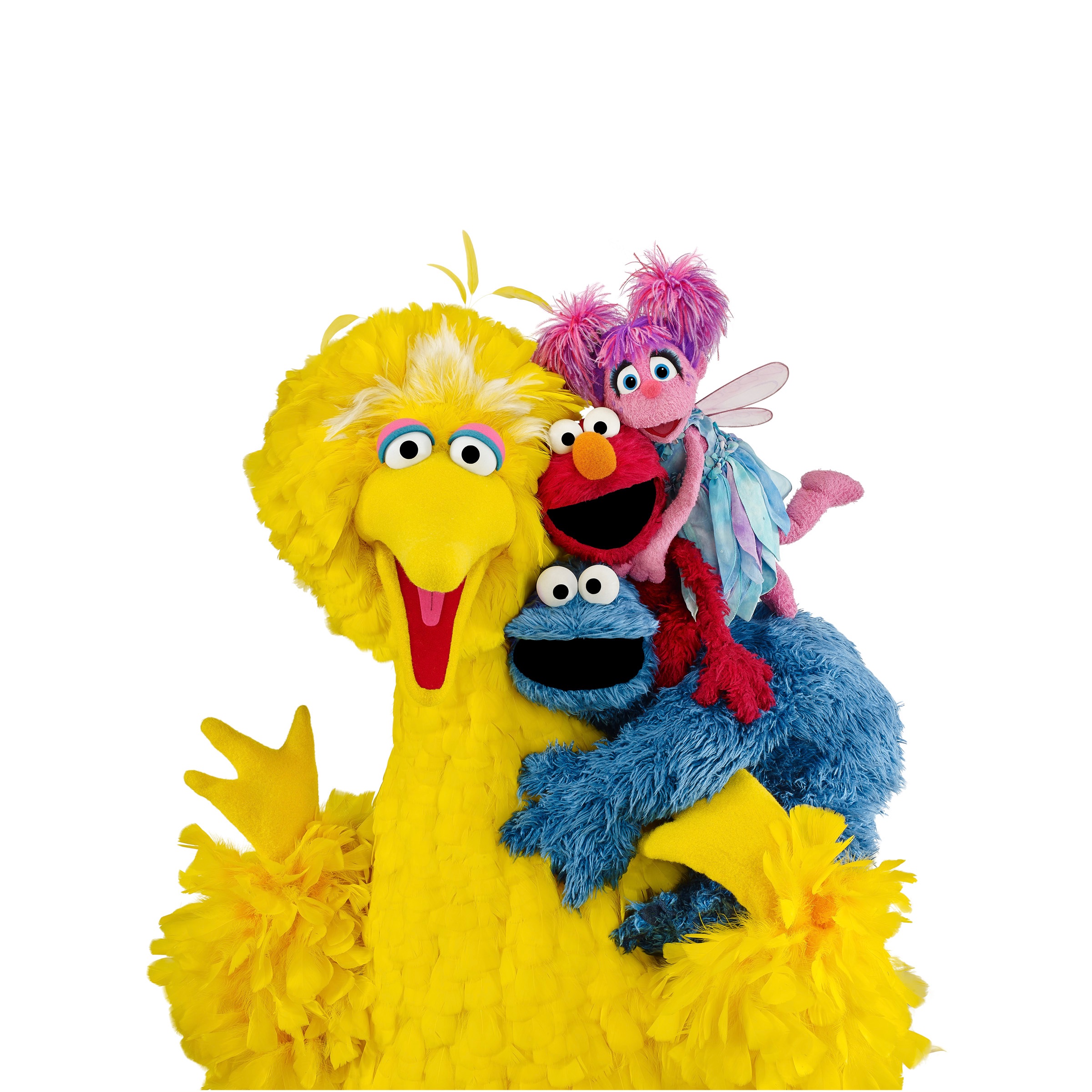 Sesame Street Portrait