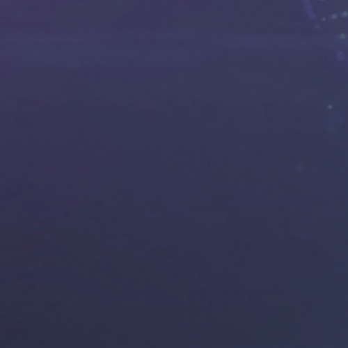 The Next Step Portrait