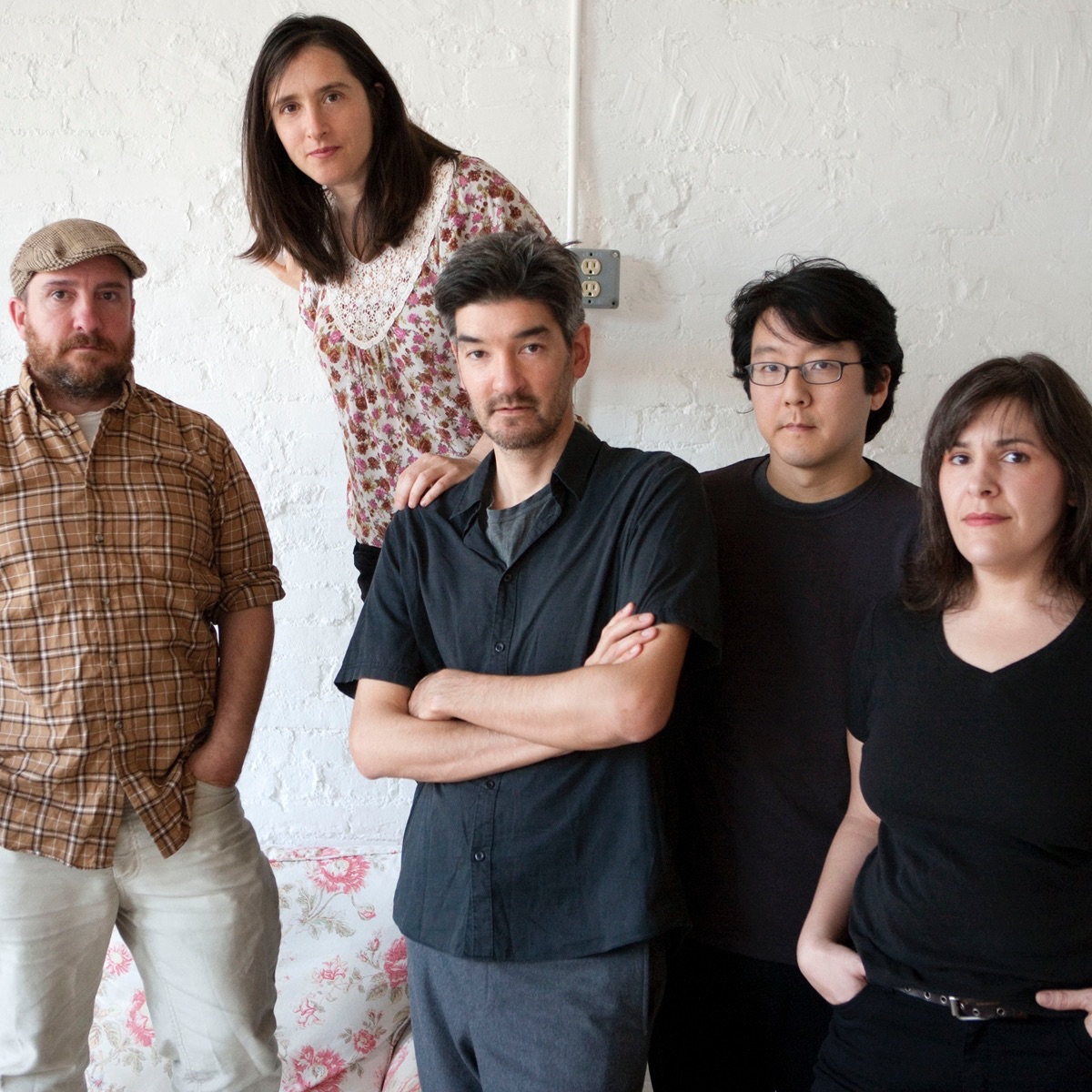The Magnetic Fields Portrait