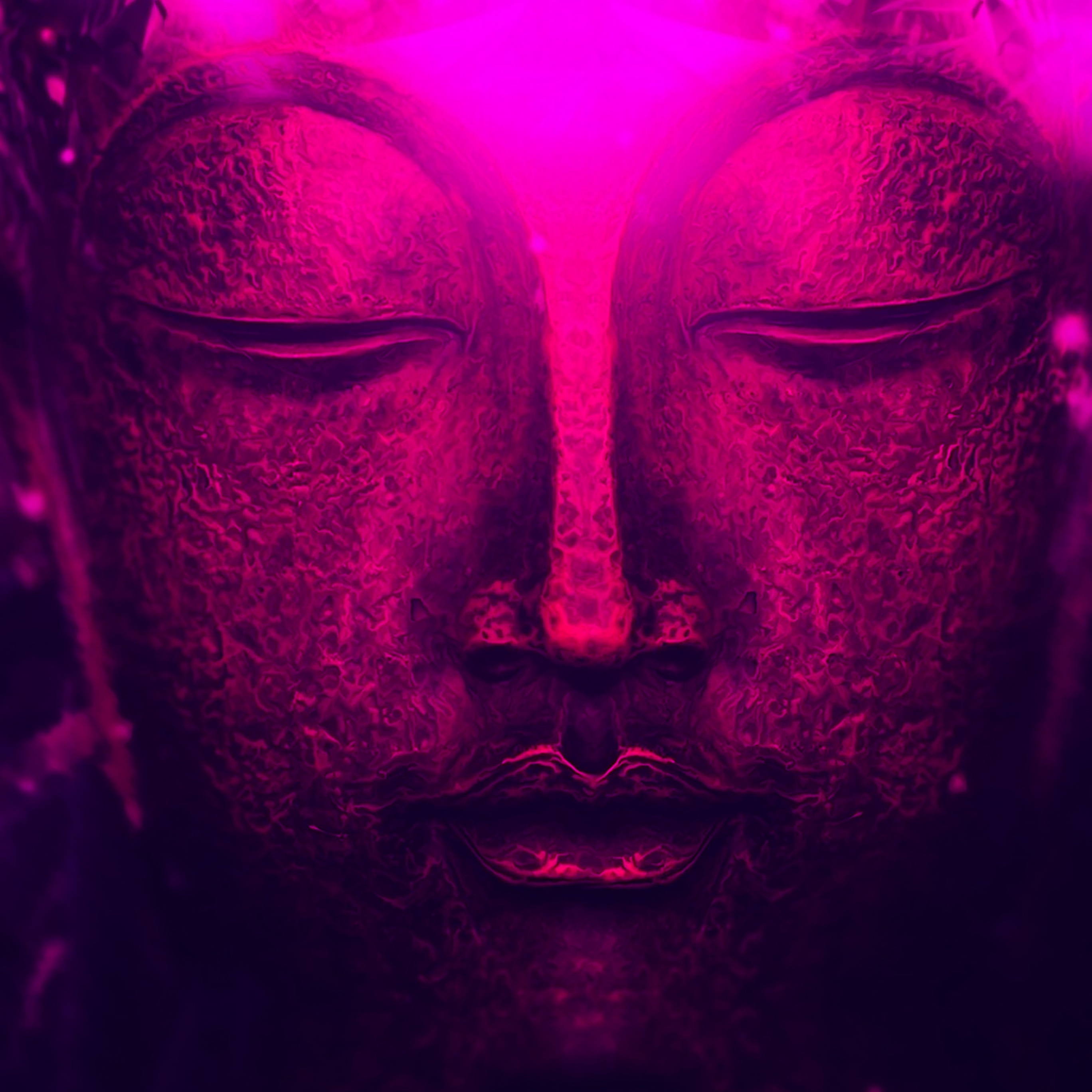 Exams Study portrait