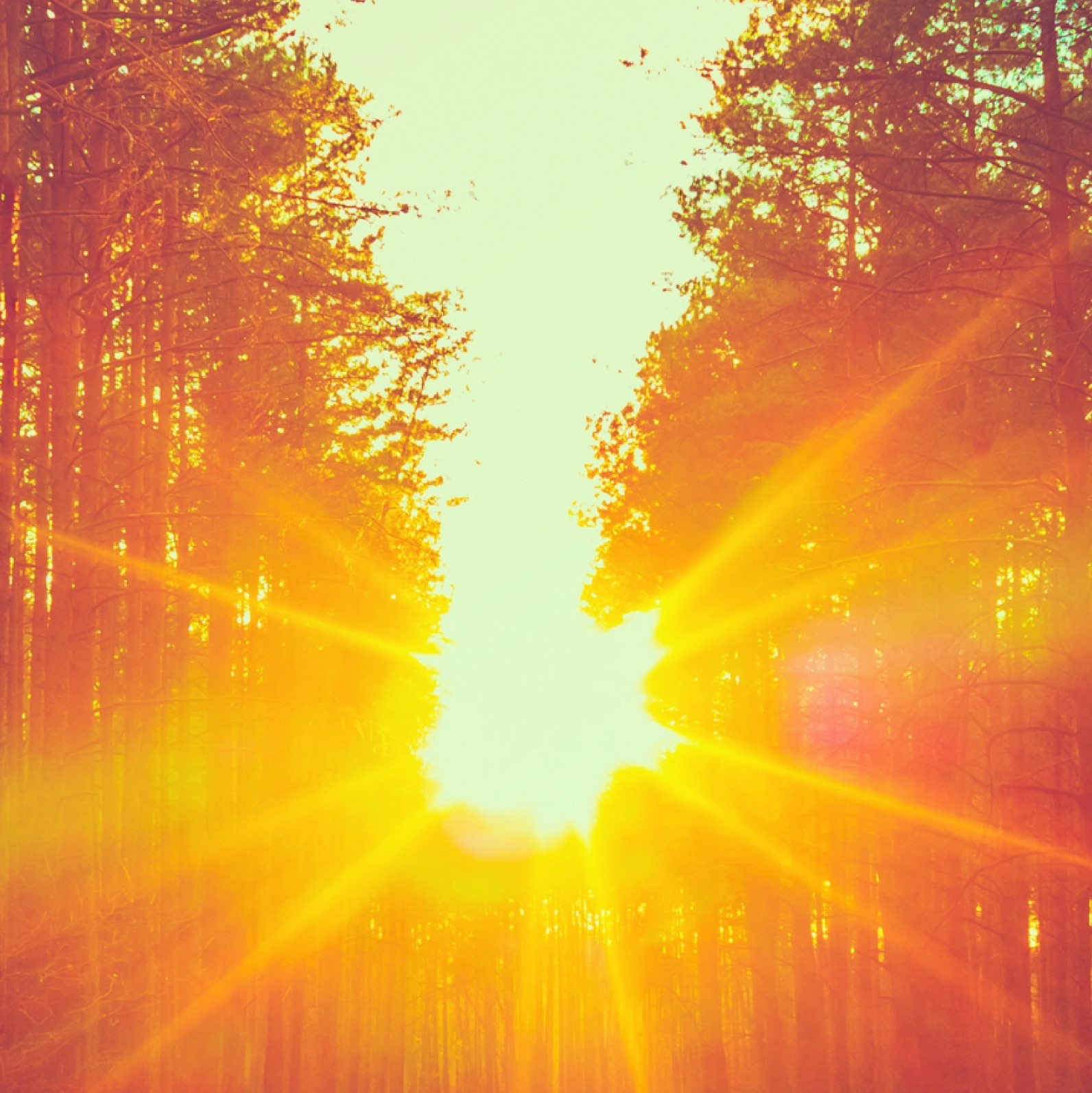 Relaxing BGM Project Portrait