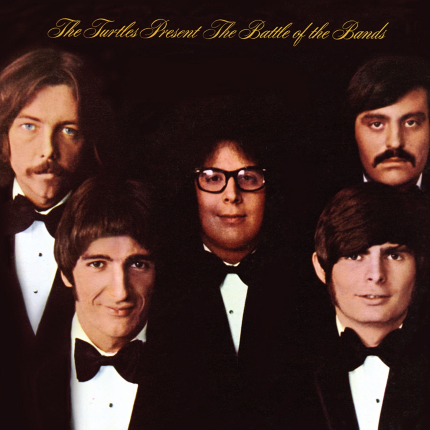 The Turtles Portrait