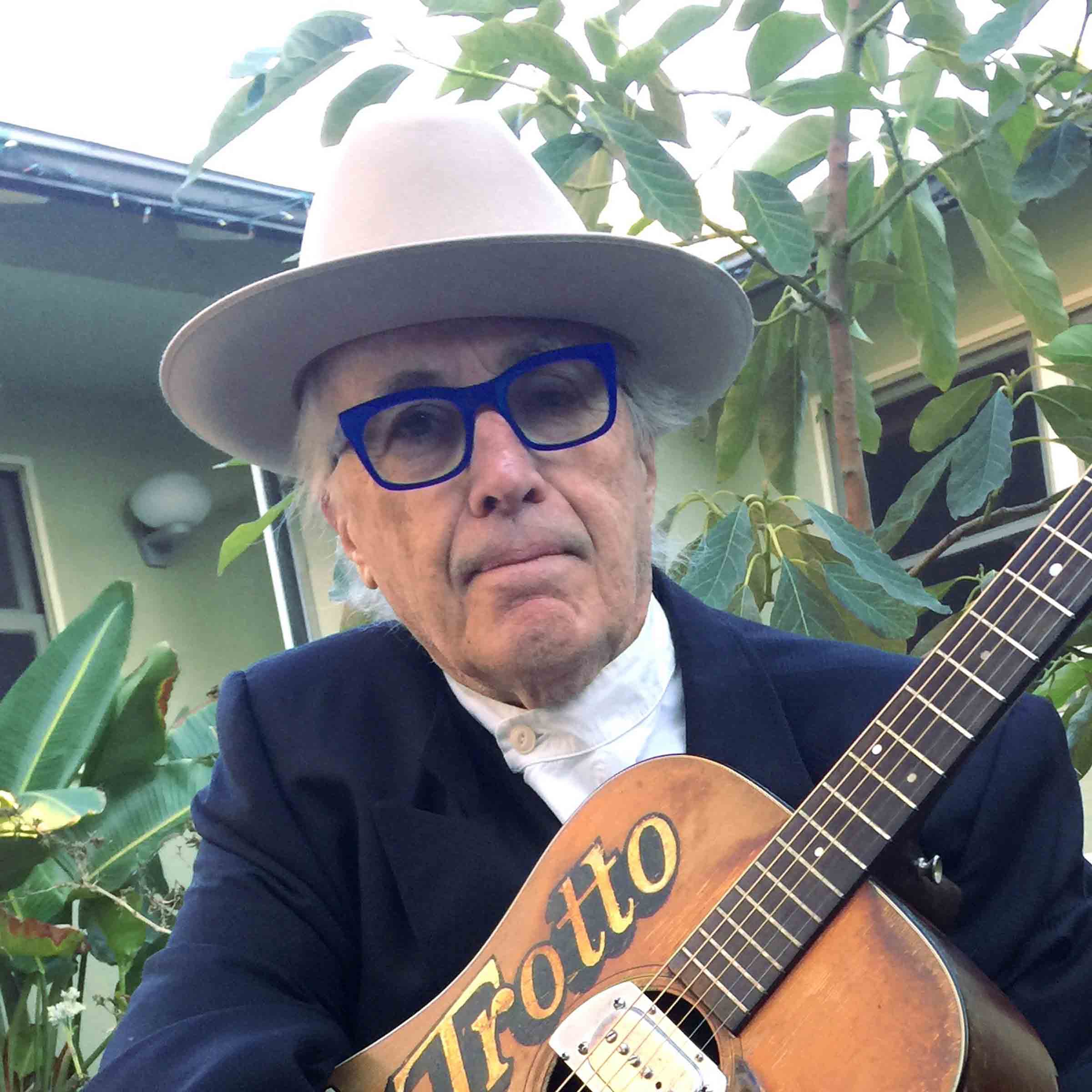 Ry Cooder Portrait