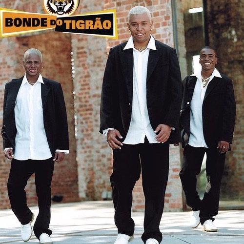 Bonde do Tigrão Portrait