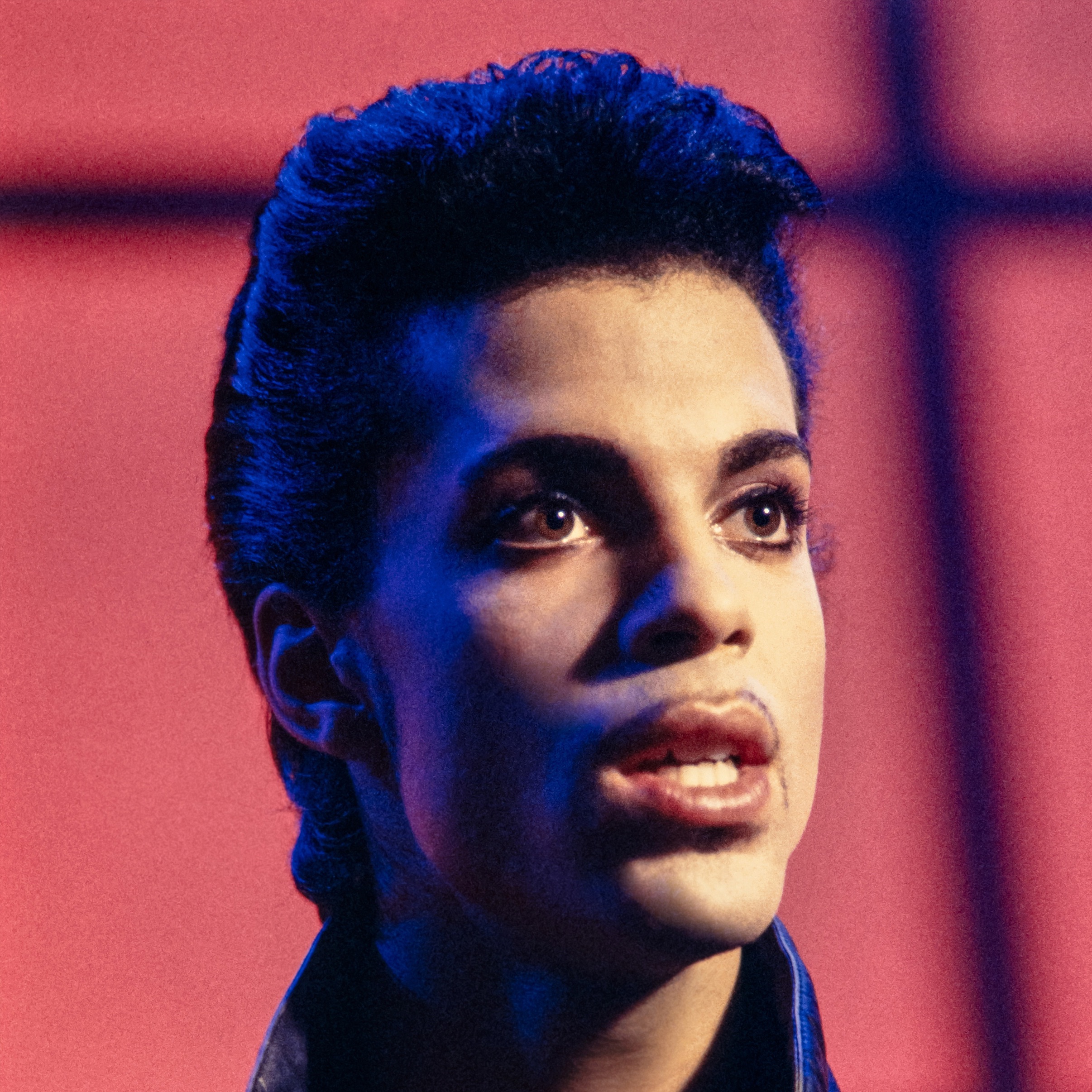 Prince & The Revolution Portrait