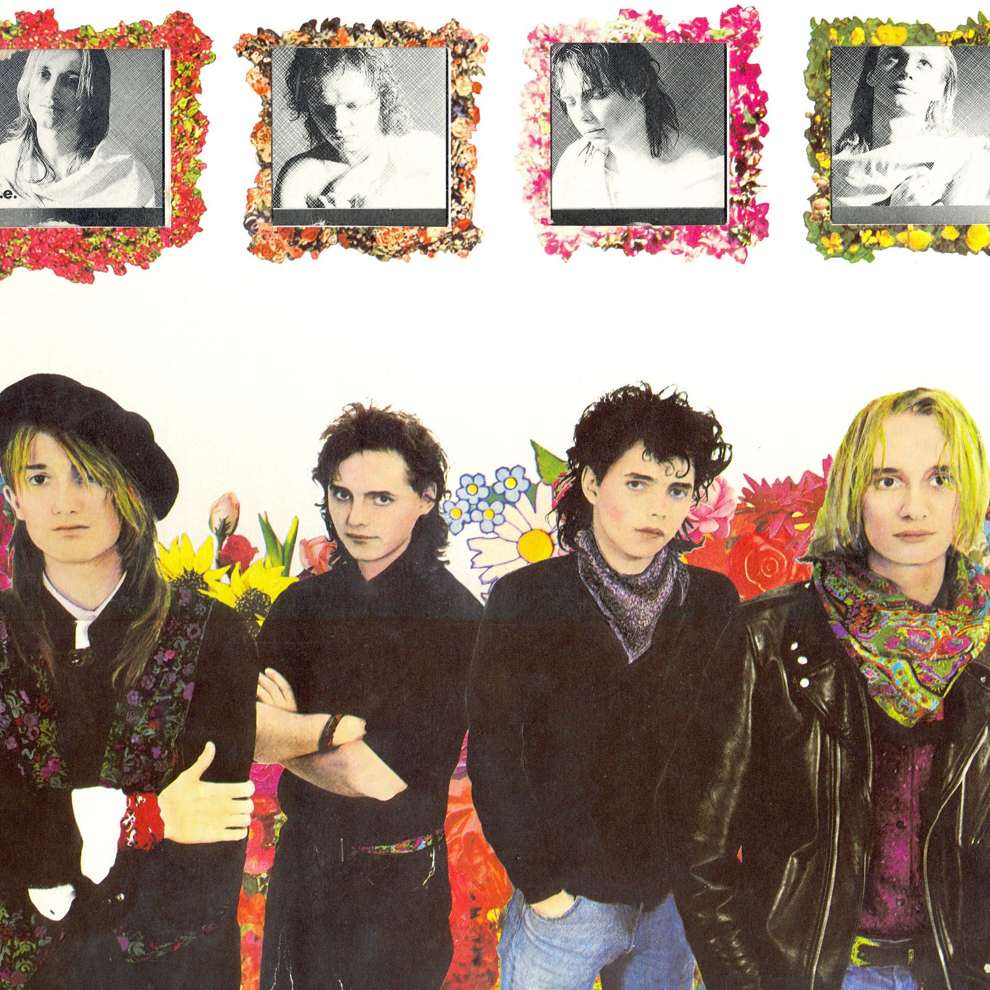 Plavi Orkestar Portrait